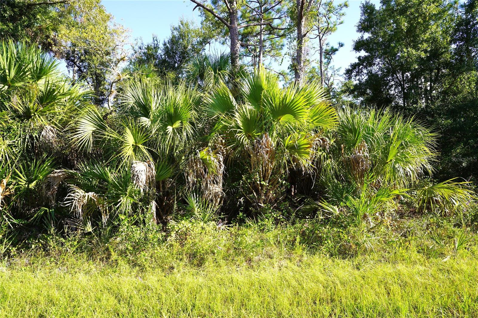 Image 3 of 33 For 1294 Birch Terrace