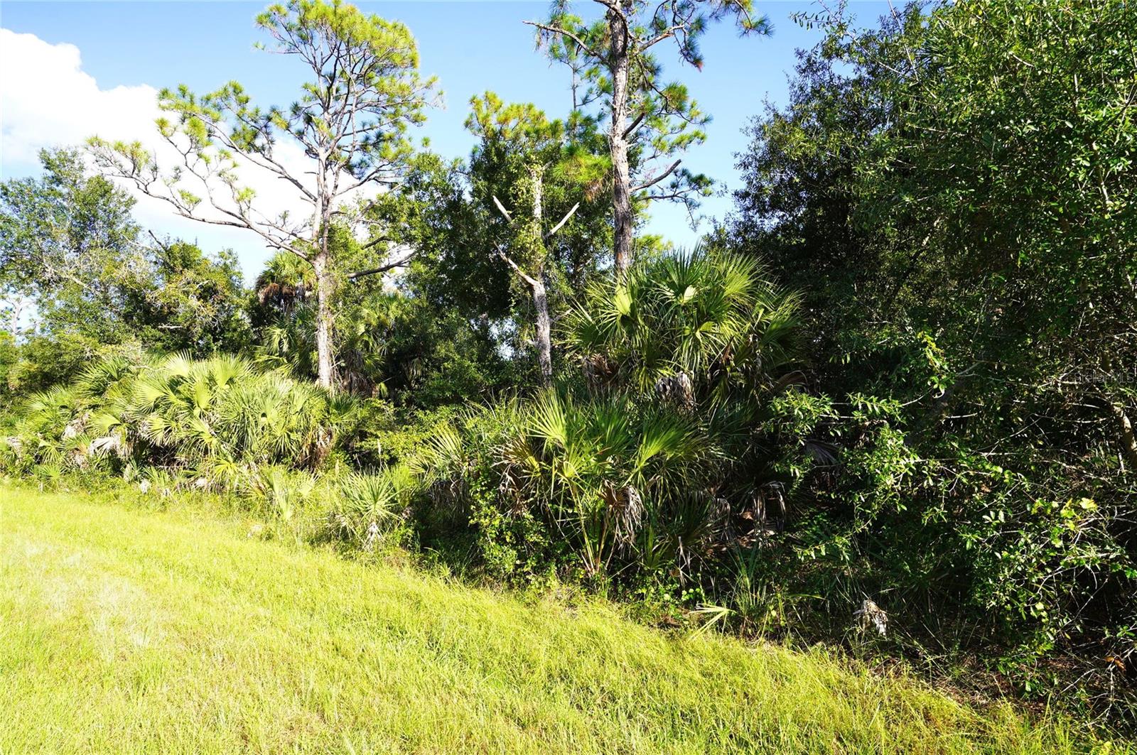 Image 4 of 33 For 1294 Birch Terrace