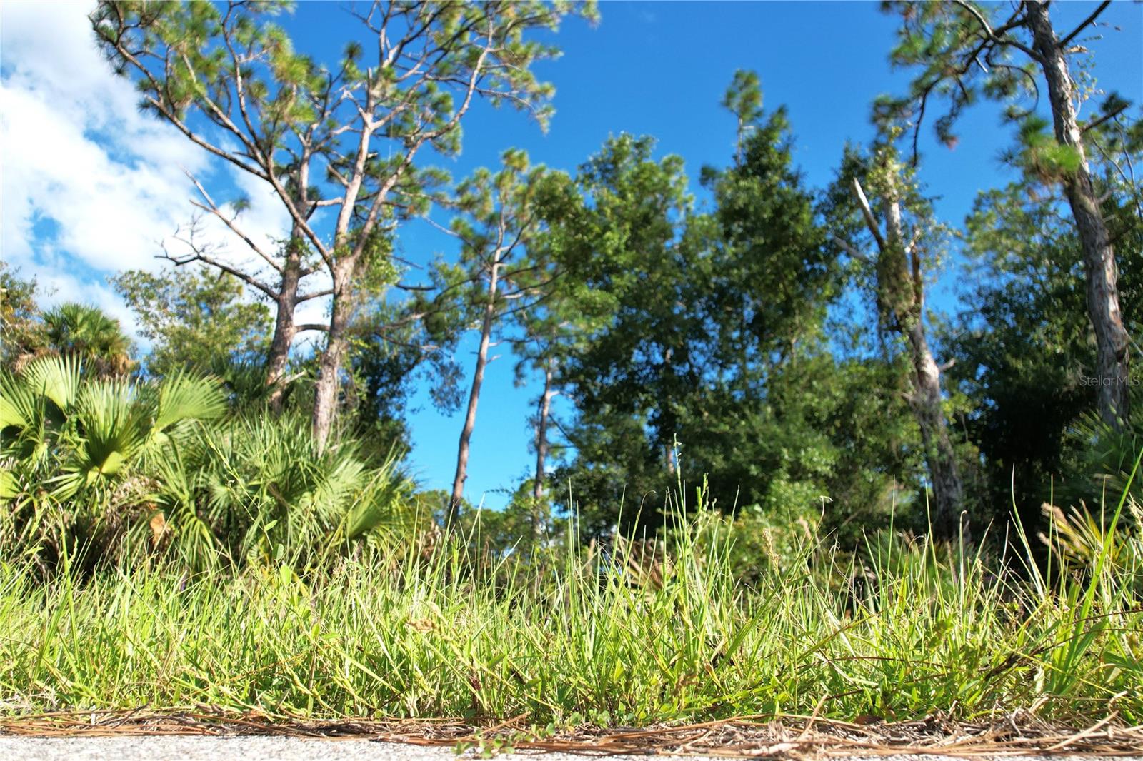 Image 5 of 33 For 1294 Birch Terrace