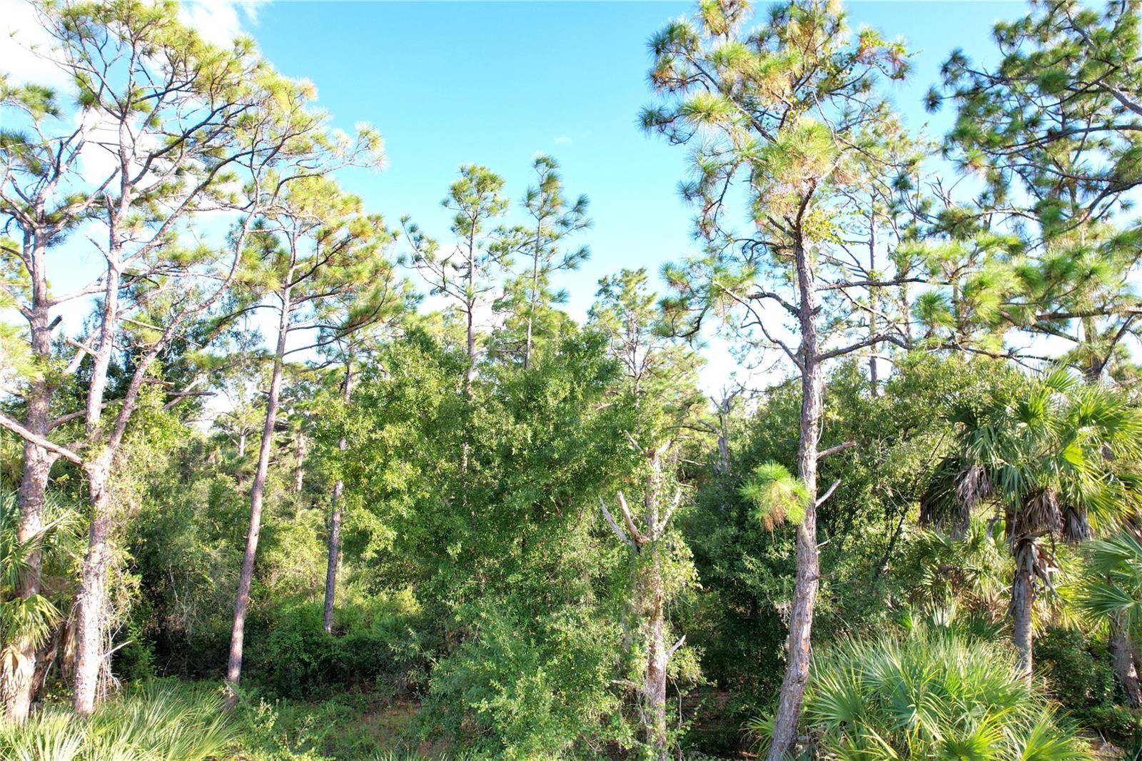 Image 6 of 33 For 1294 Birch Terrace