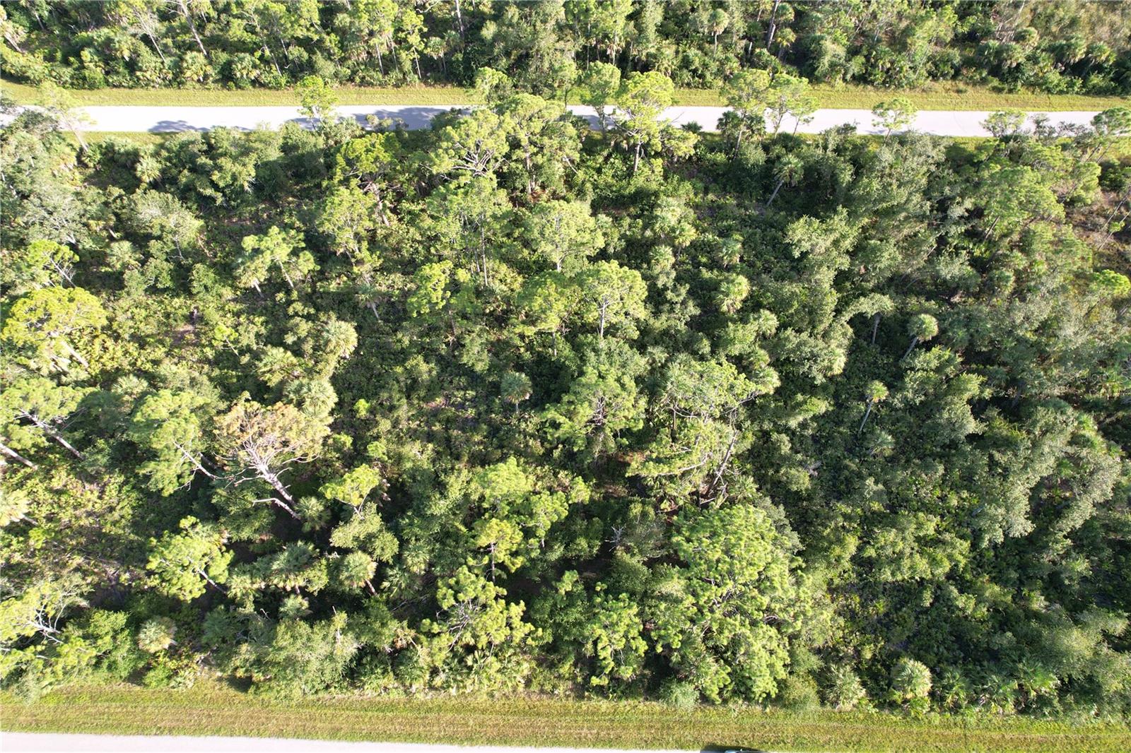 Image 7 of 33 For 1294 Birch Terrace