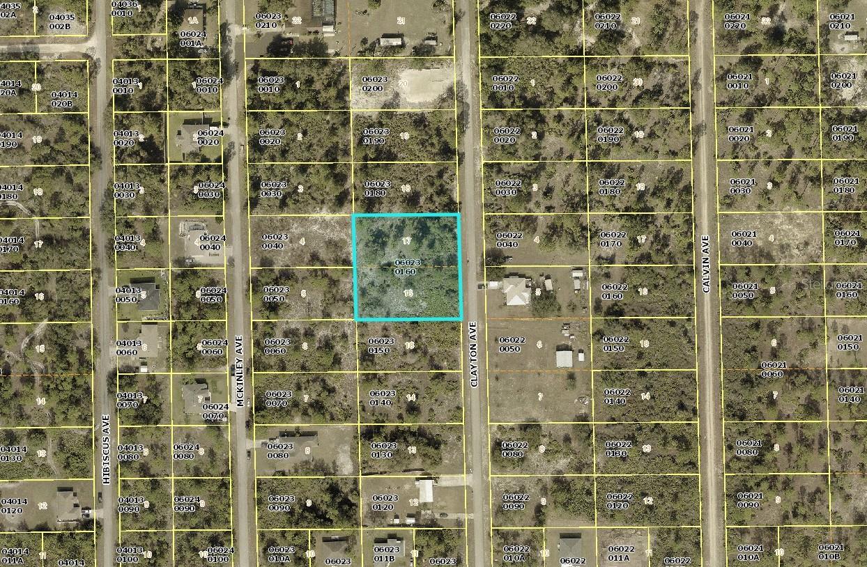 Details for 1711 Clayton Avenue, LEHIGH ACRES, FL 33972
