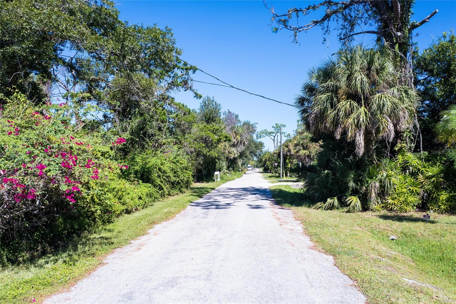 Image 15 of 16 For 0 Pineapple Street