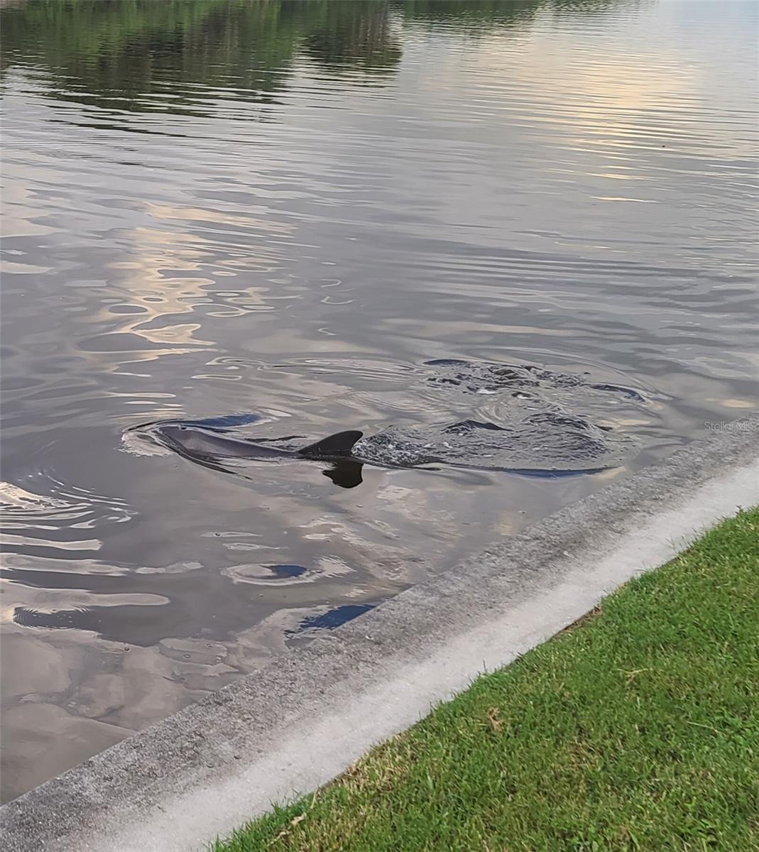 Image 61 of 64 For 3182 Lake View Boulevard