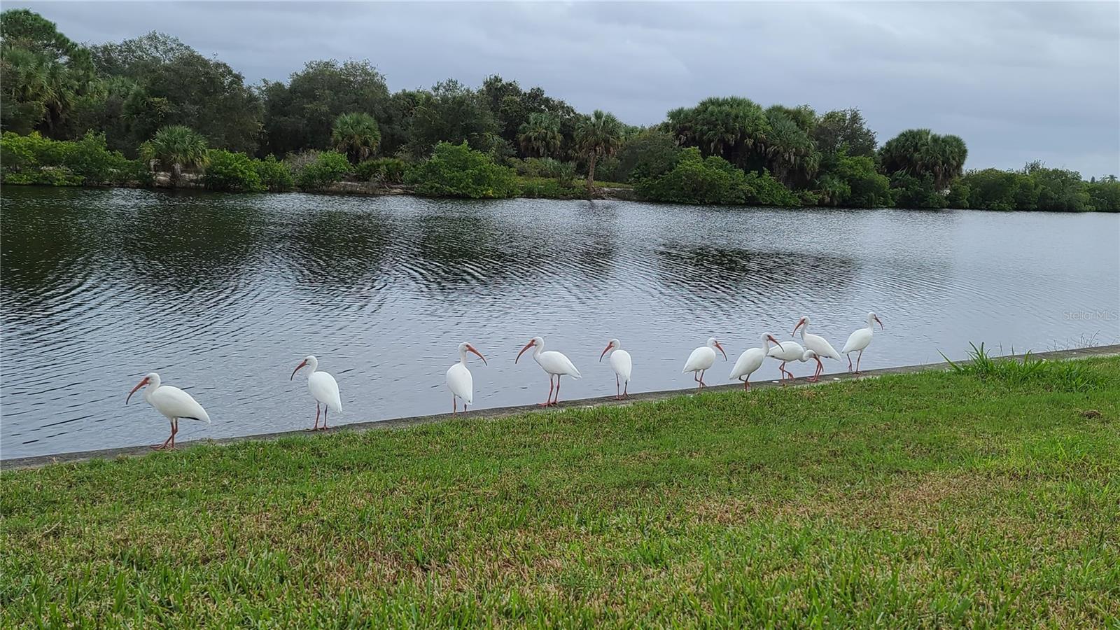 Image 62 of 64 For 3182 Lake View Boulevard