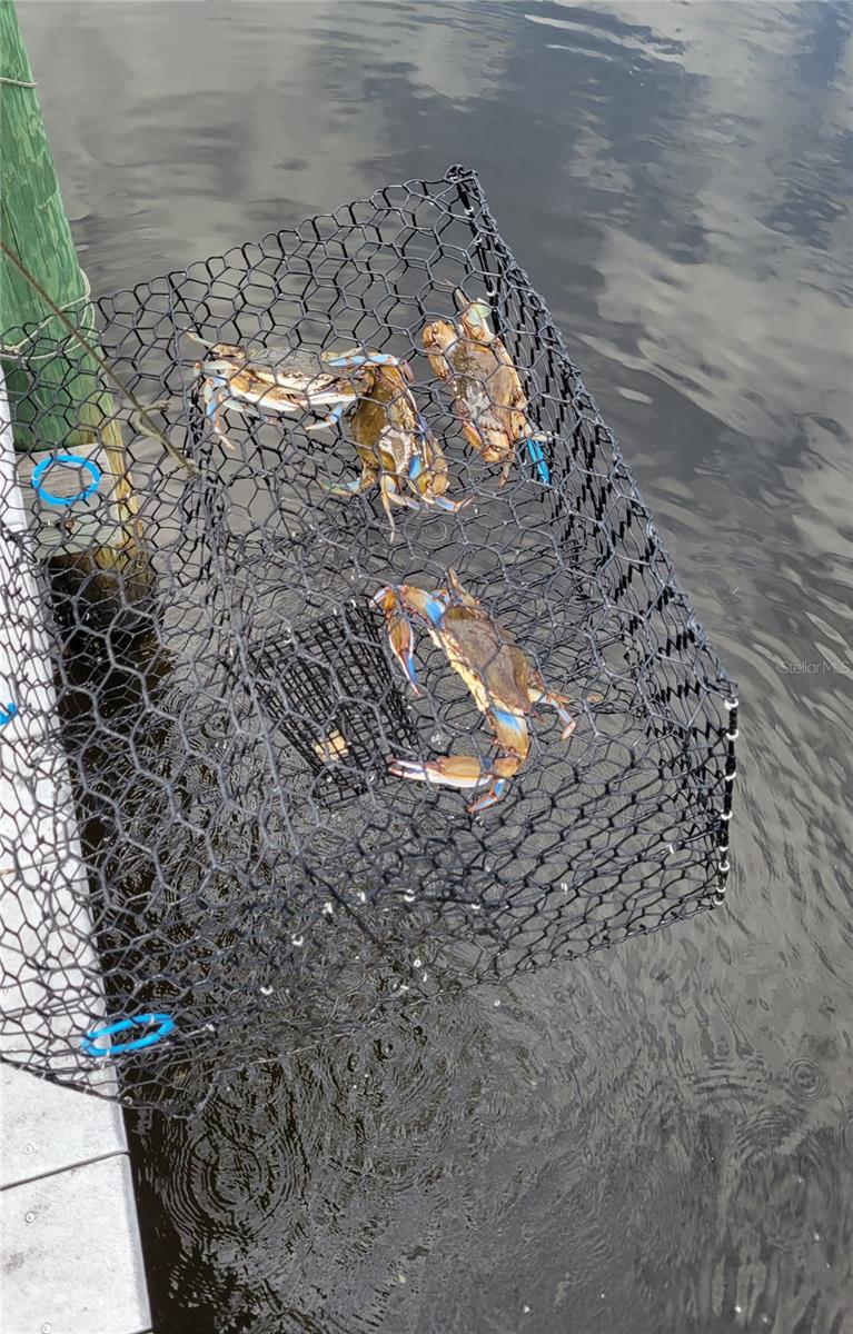 Image 63 of 64 For 3182 Lake View Boulevard