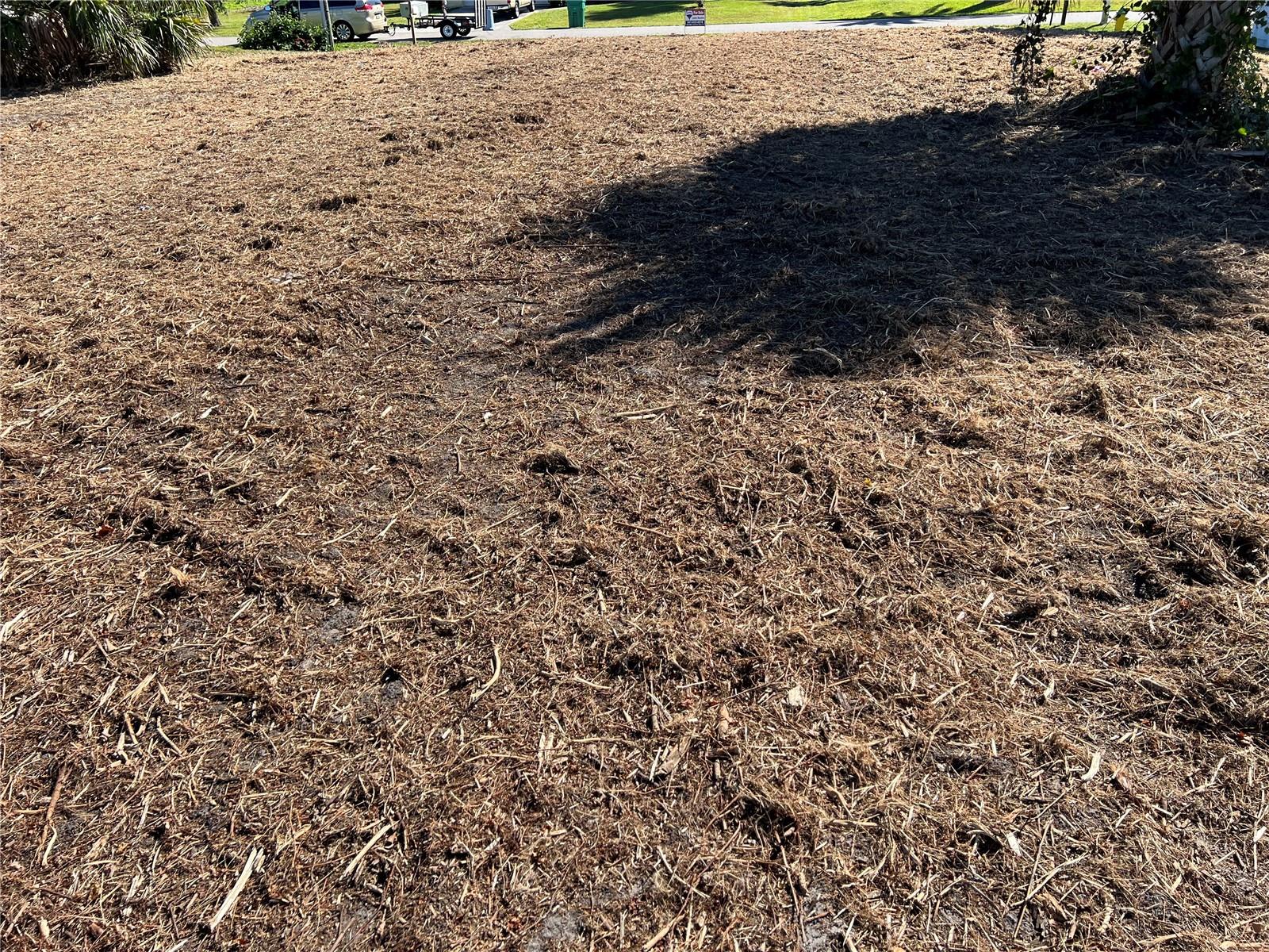 Image 4 of 8 For 145 Robina Street