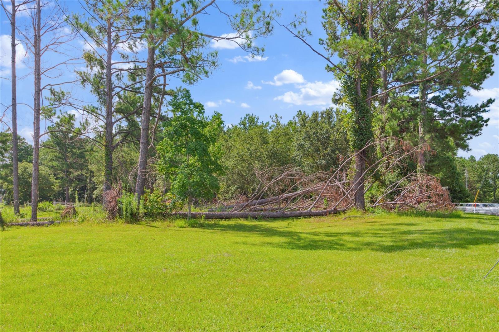 Image 81 of 81 For 649 Base Street