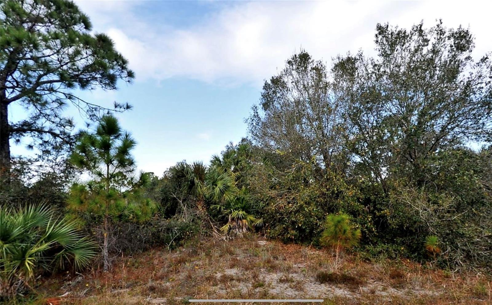 Details for Lot 11 Marsden Avenue, NORTH PORT, FL 34288