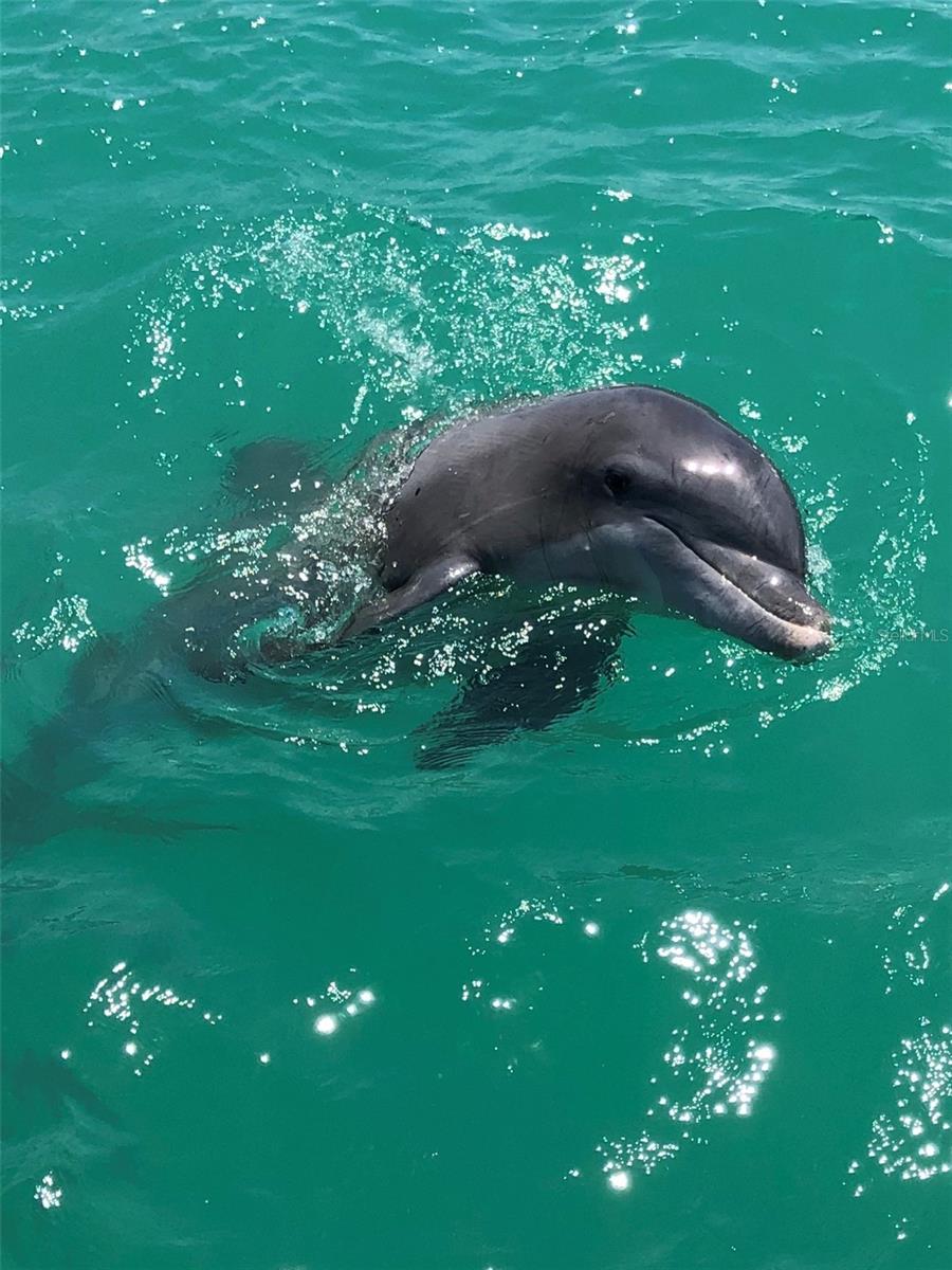 Image 14 of 100 For 10428 Marion Street