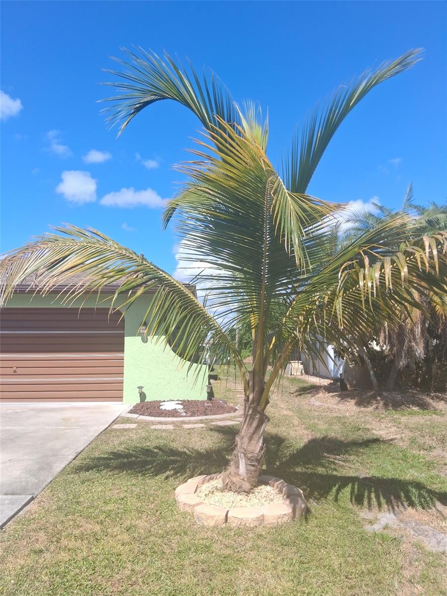 Image 26 of 28 For 23192 Mcburney Avenue