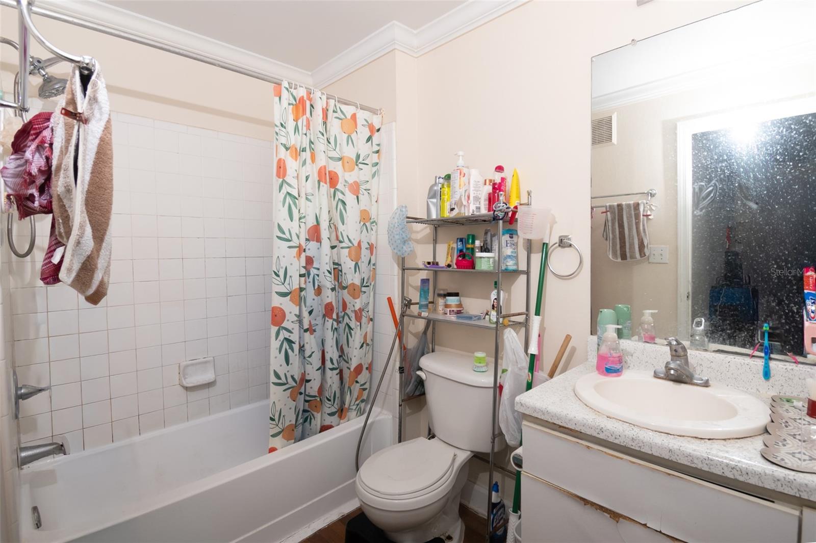 Image 10 of 20 For 18113 Bridle Club Drive