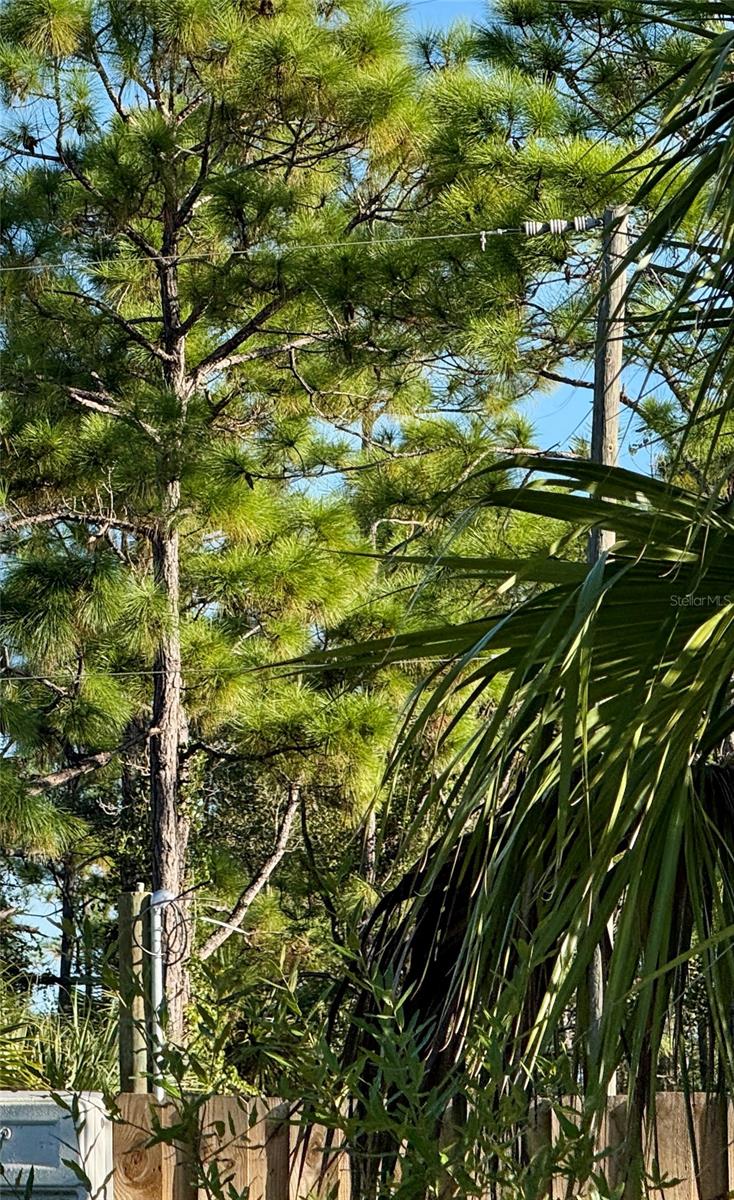 Image 4 of 4 For 26350 Eager Road