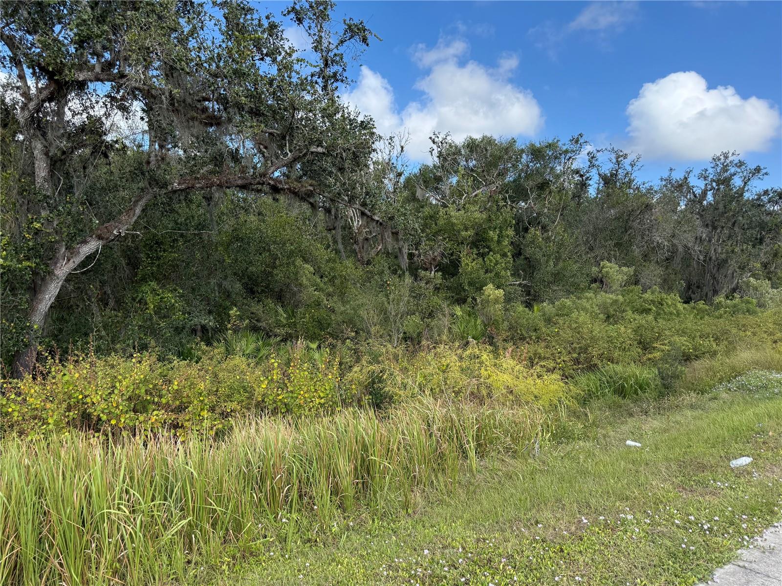 Image 5 of 5 For  Sw Hwy 17  