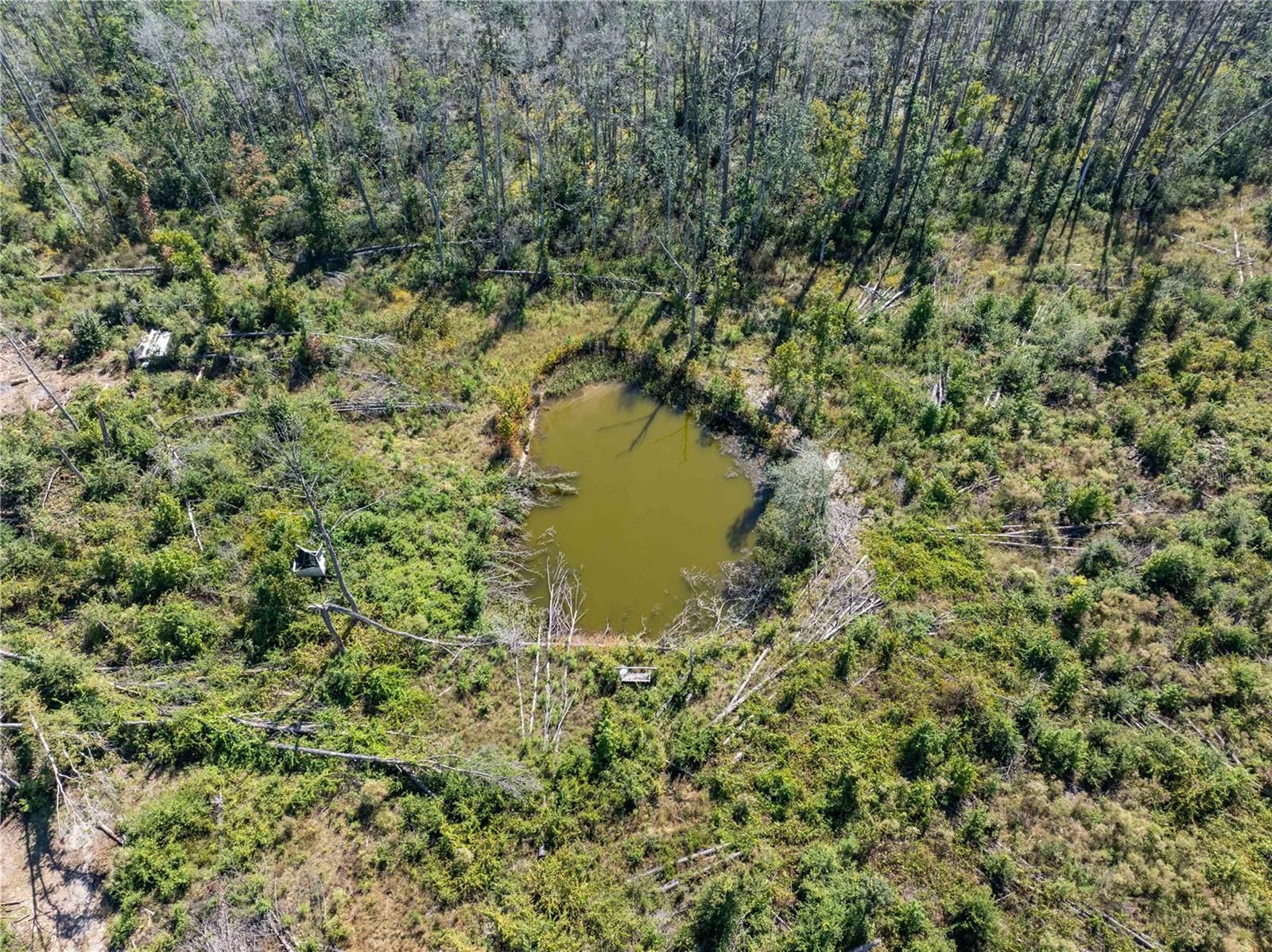 Image 10 of 29 For 9122 Tower Road