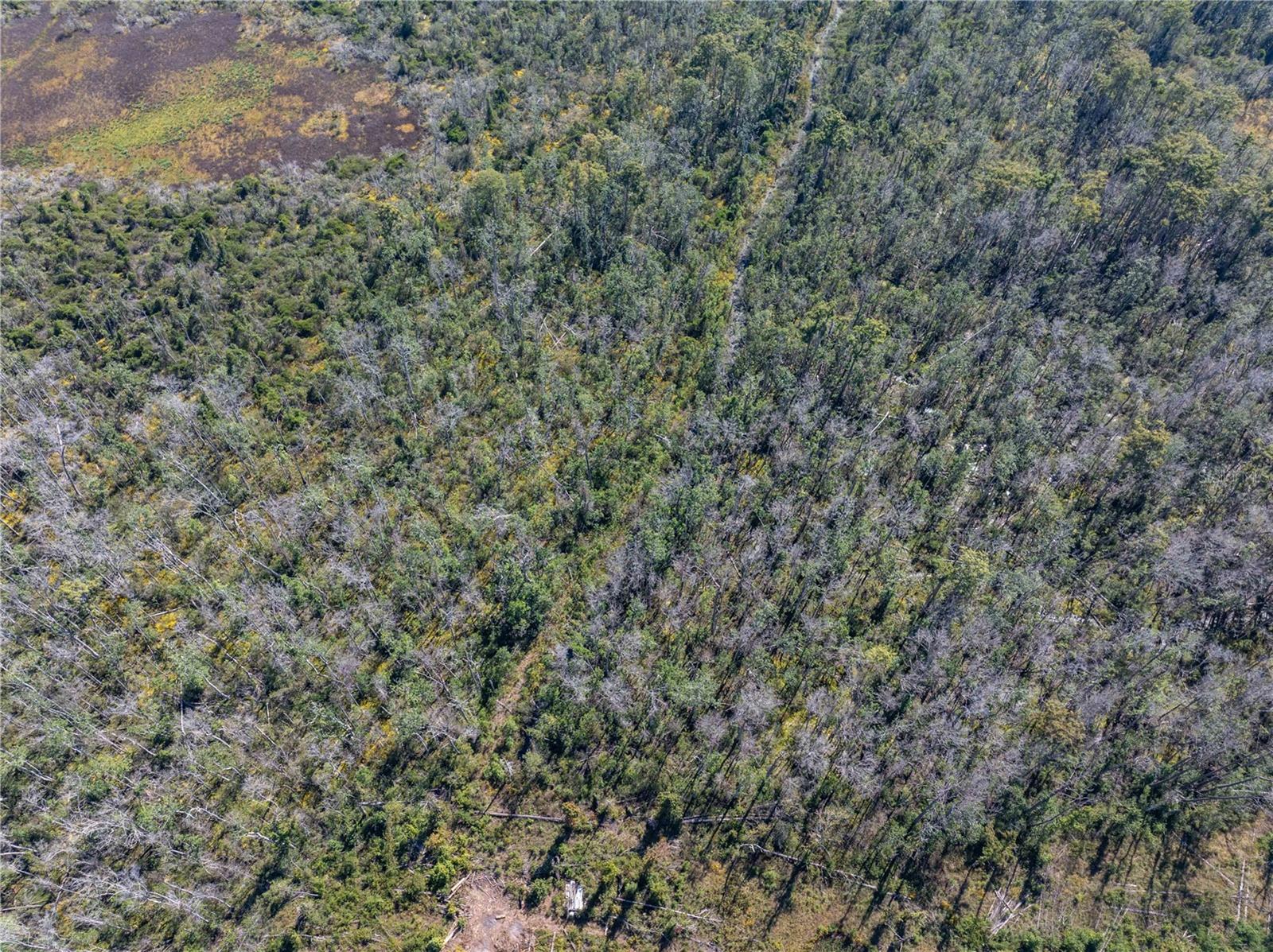 Image 13 of 29 For 9122 Tower Road