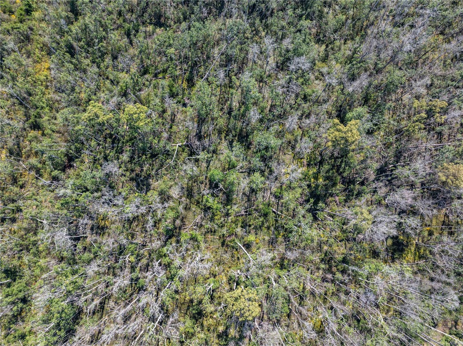 Image 14 of 29 For 9122 Tower Road