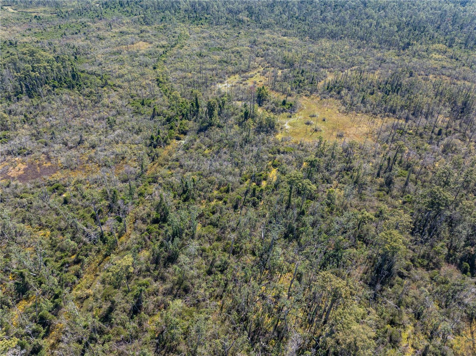 Image 15 of 29 For 9122 Tower Road