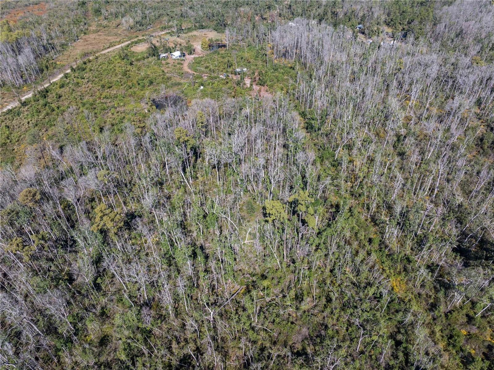 Image 16 of 29 For 9122 Tower Road