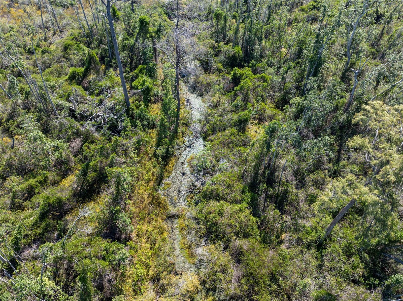 Image 18 of 29 For 9122 Tower Road