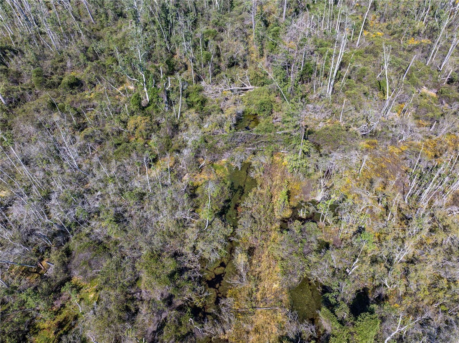 Image 19 of 29 For 9122 Tower Road