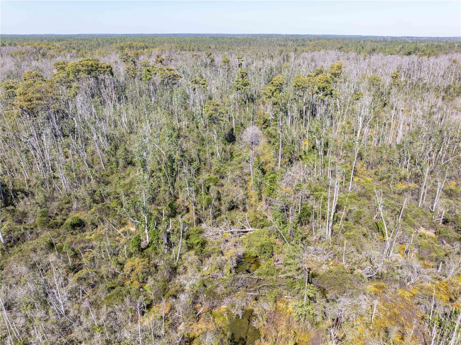 Image 20 of 29 For 9122 Tower Road