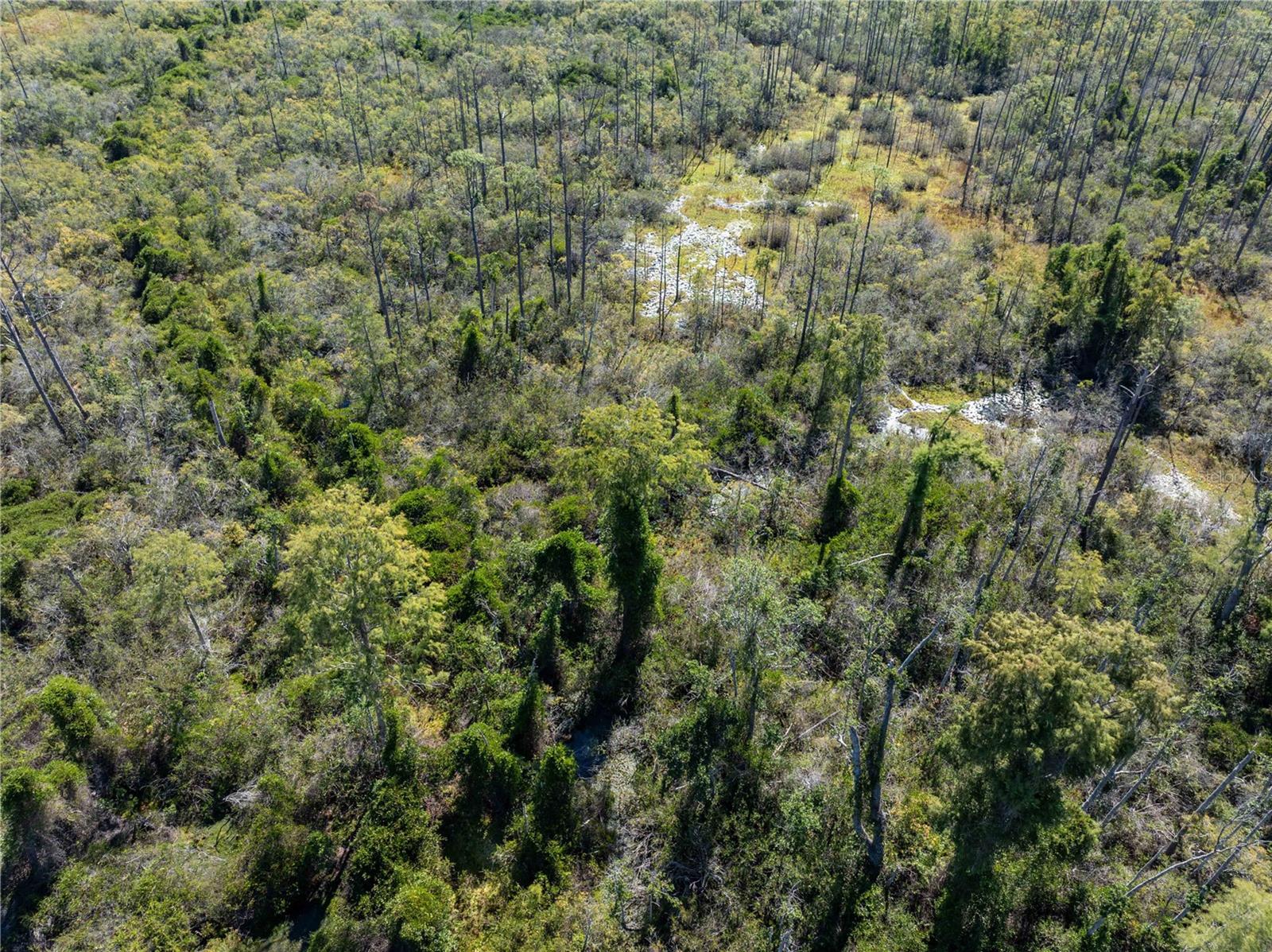 Image 21 of 29 For 9122 Tower Road