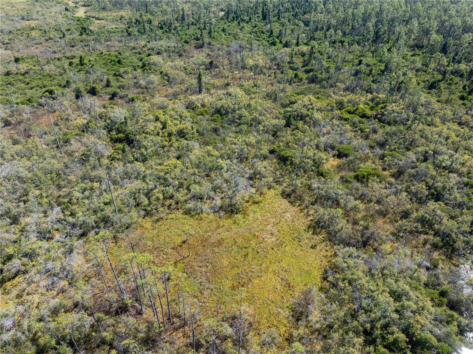 Image 22 of 29 For 9122 Tower Road