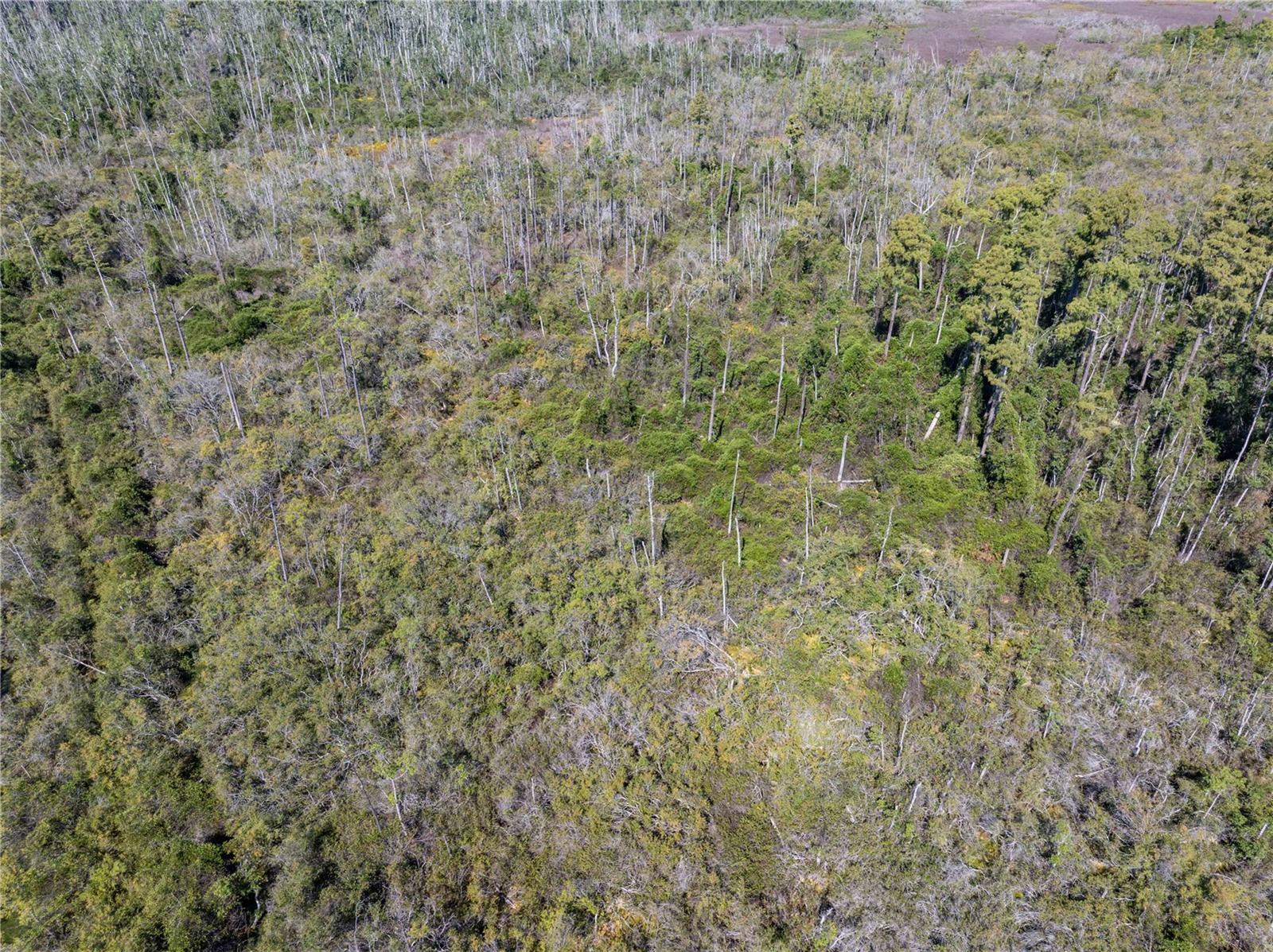 Image 23 of 29 For 9122 Tower Road