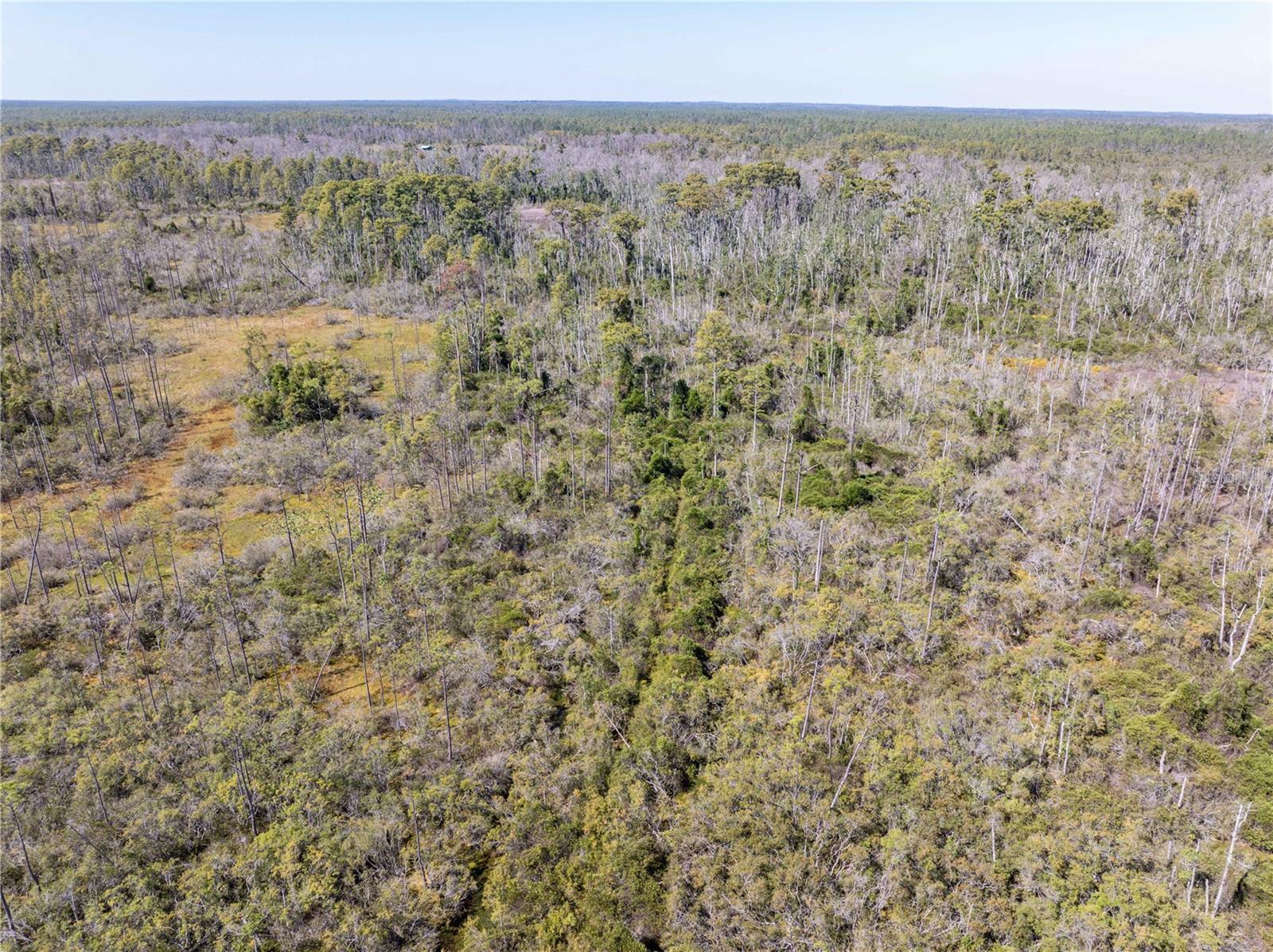 Image 24 of 29 For 9122 Tower Road