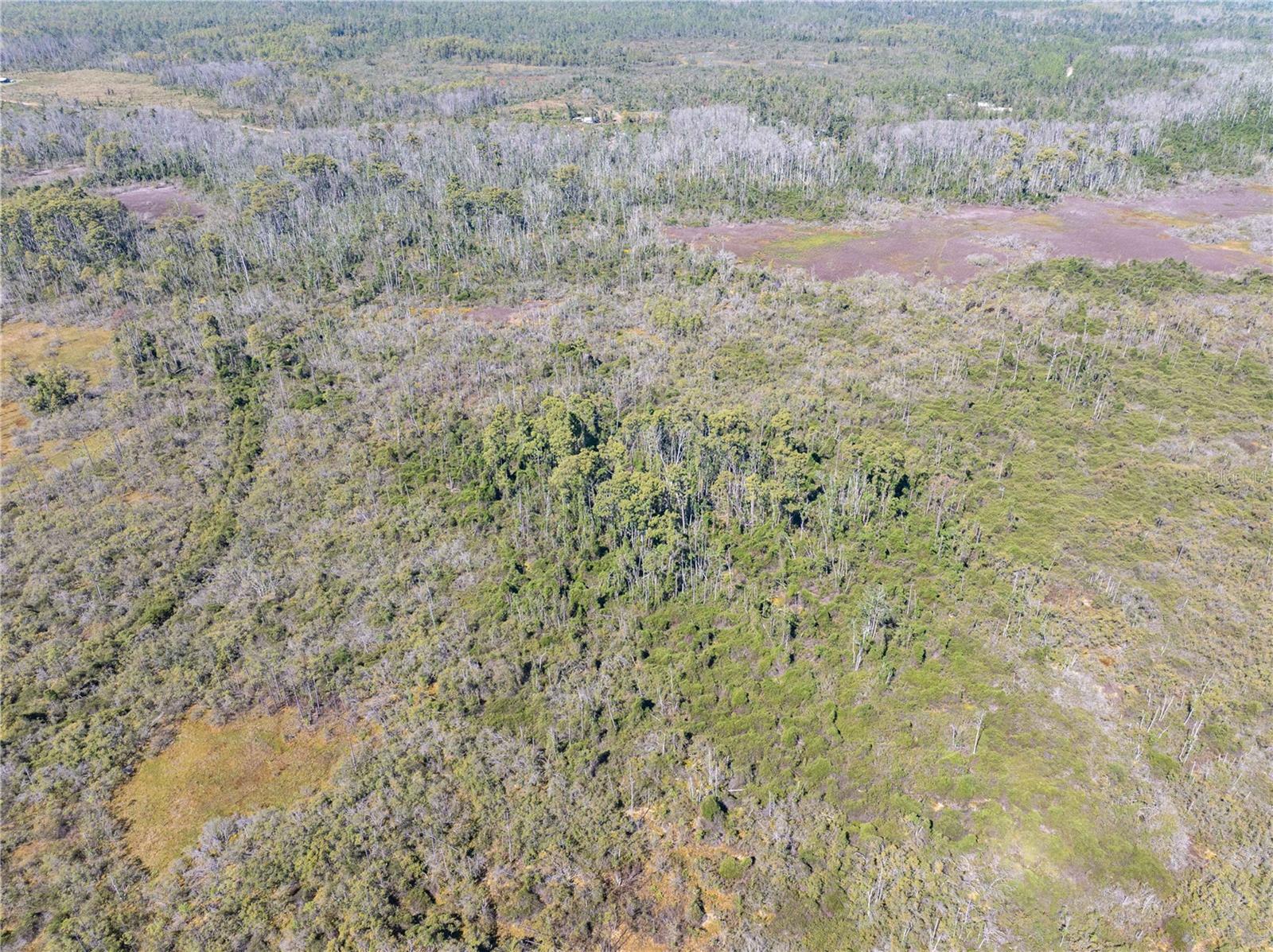 Image 25 of 29 For 9122 Tower Road