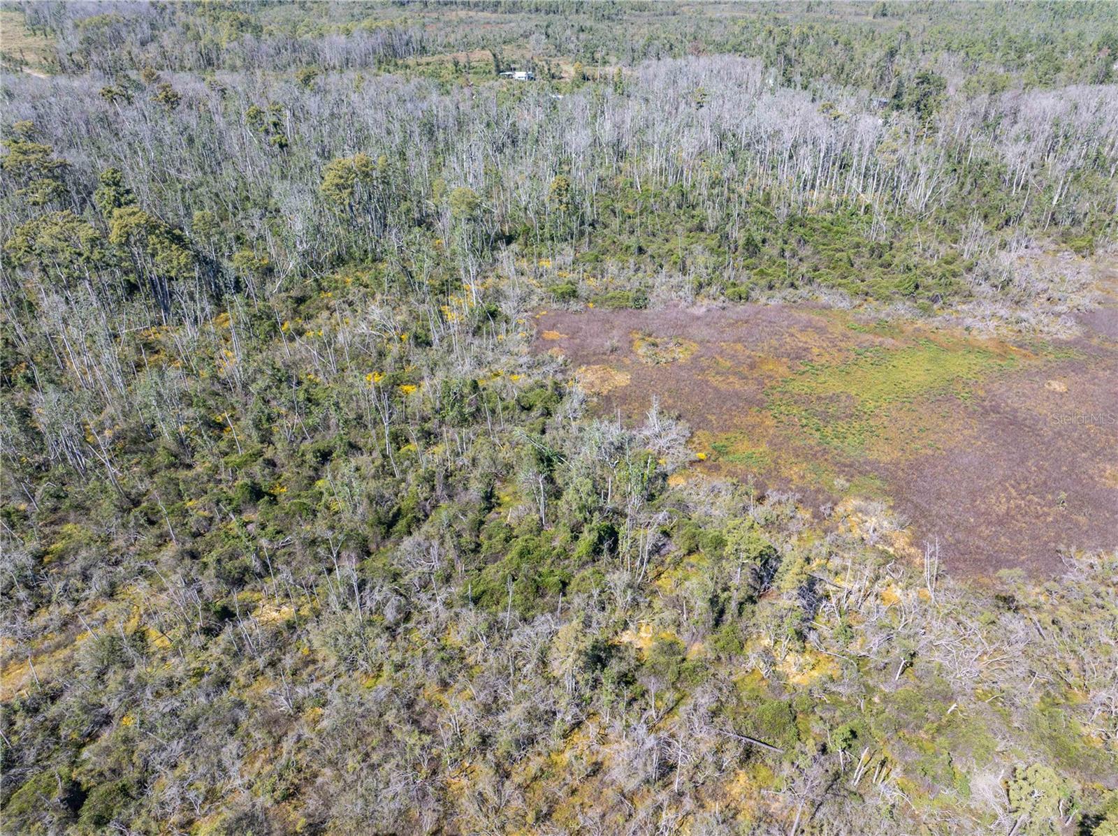 Image 26 of 29 For 9122 Tower Road