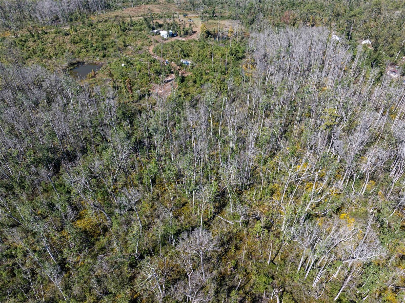 Image 27 of 29 For 9122 Tower Road