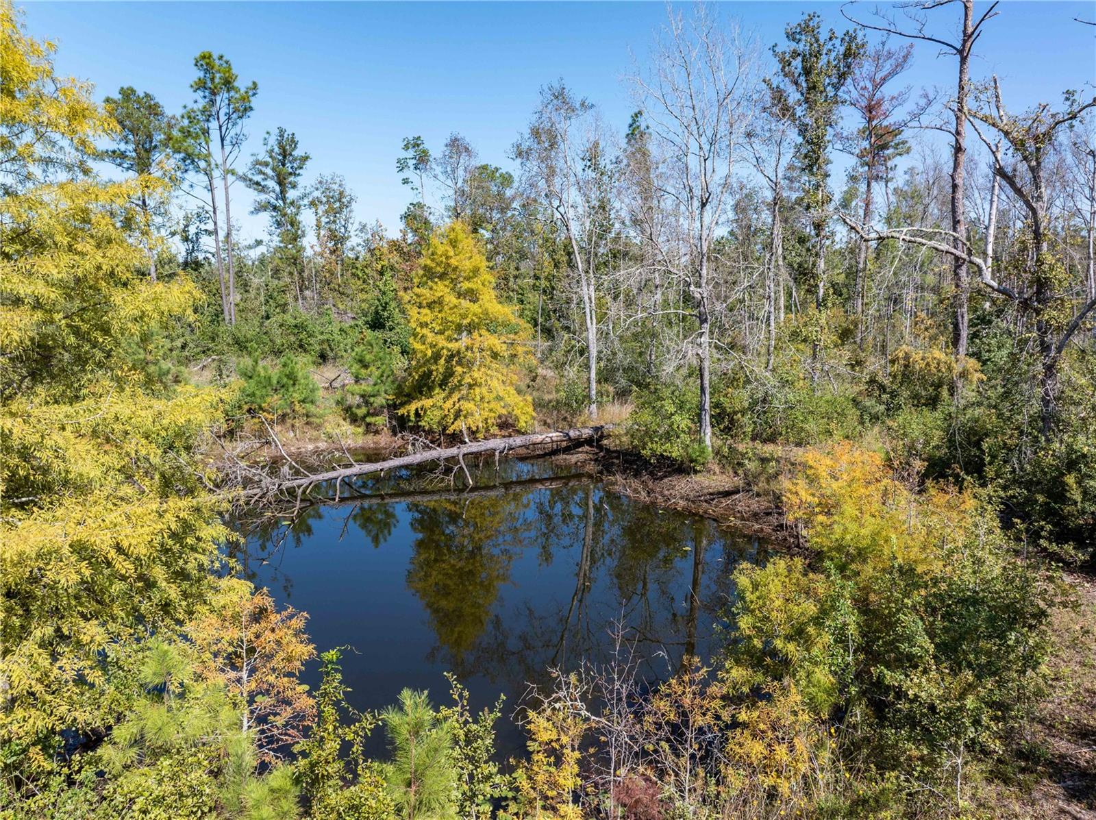 Image 29 of 29 For 9122 Tower Road