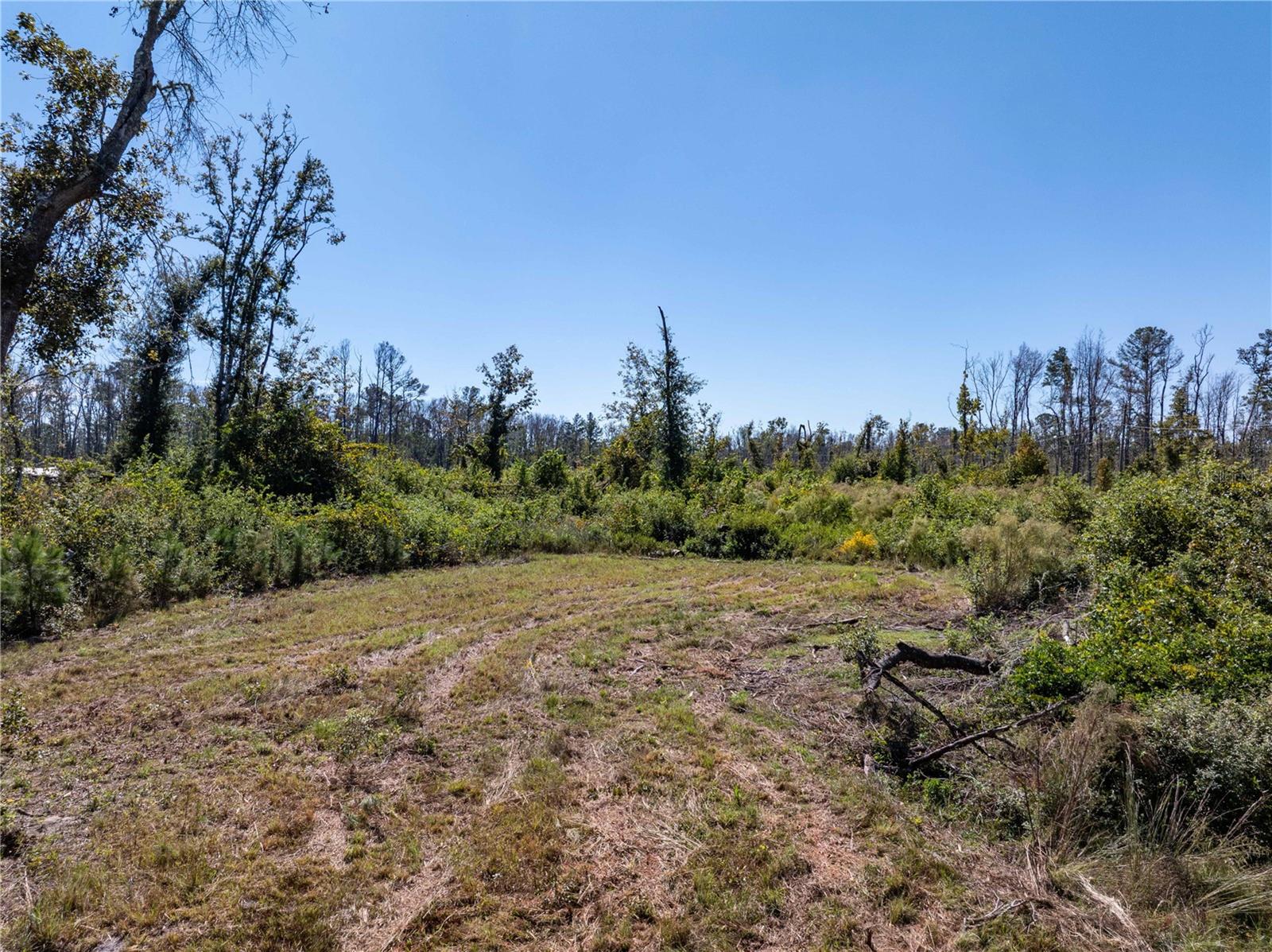 Image 5 of 29 For 9122 Tower Road