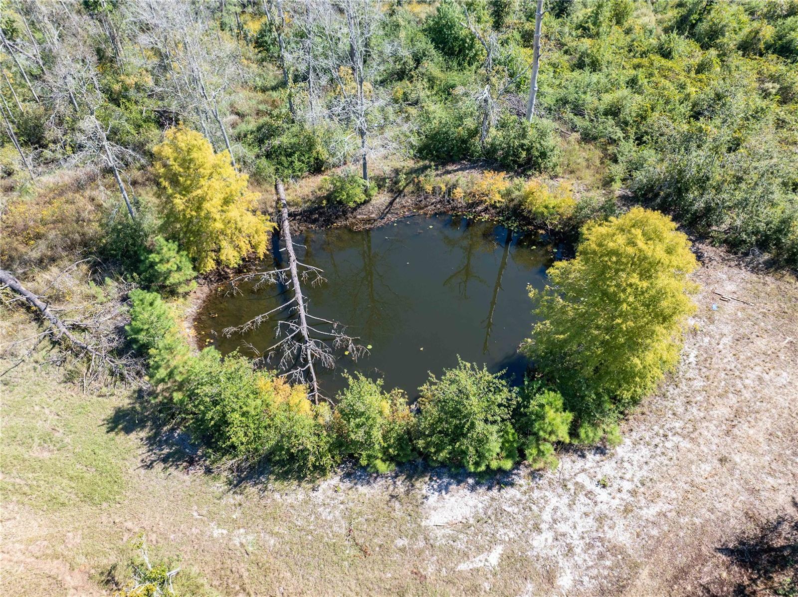 Image 7 of 29 For 9122 Tower Road