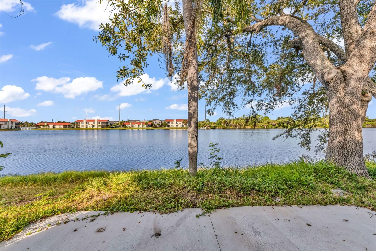 Image 35 of 46 For 2209 Cypress Street