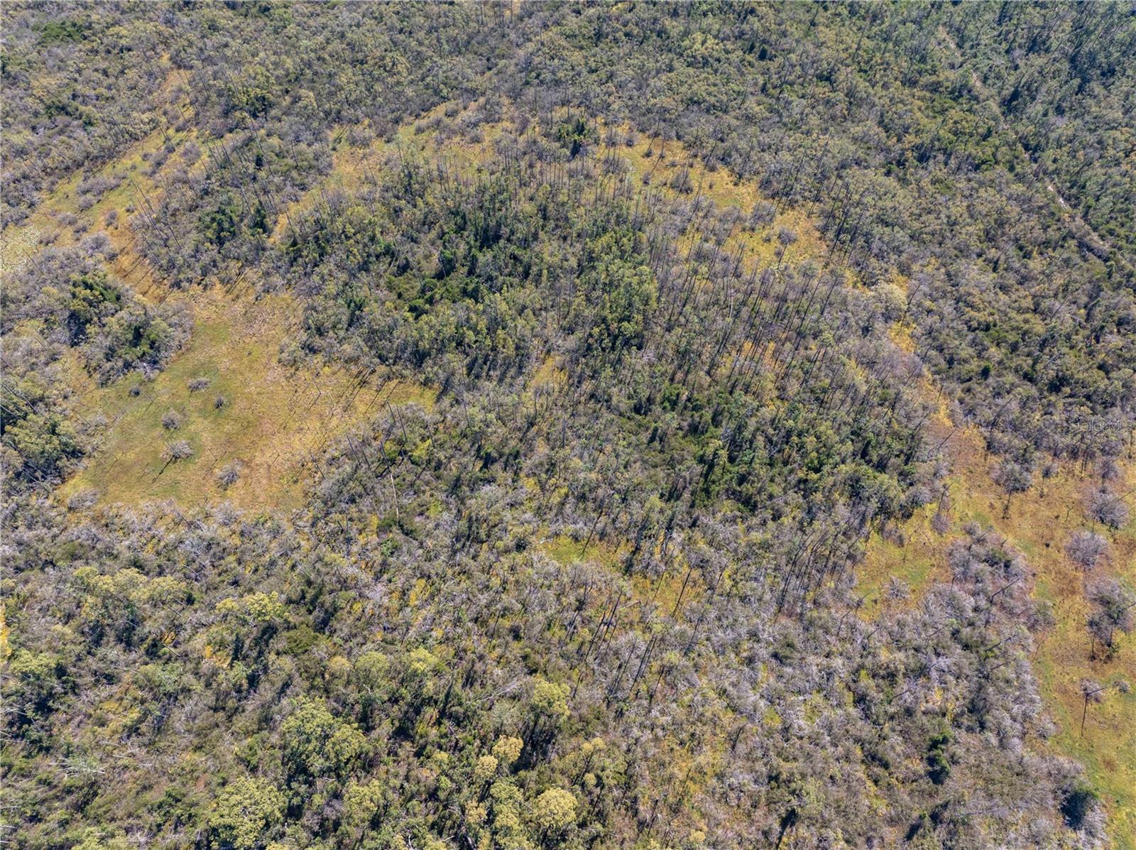 Image 13 of 34 For 8970 Tower Road