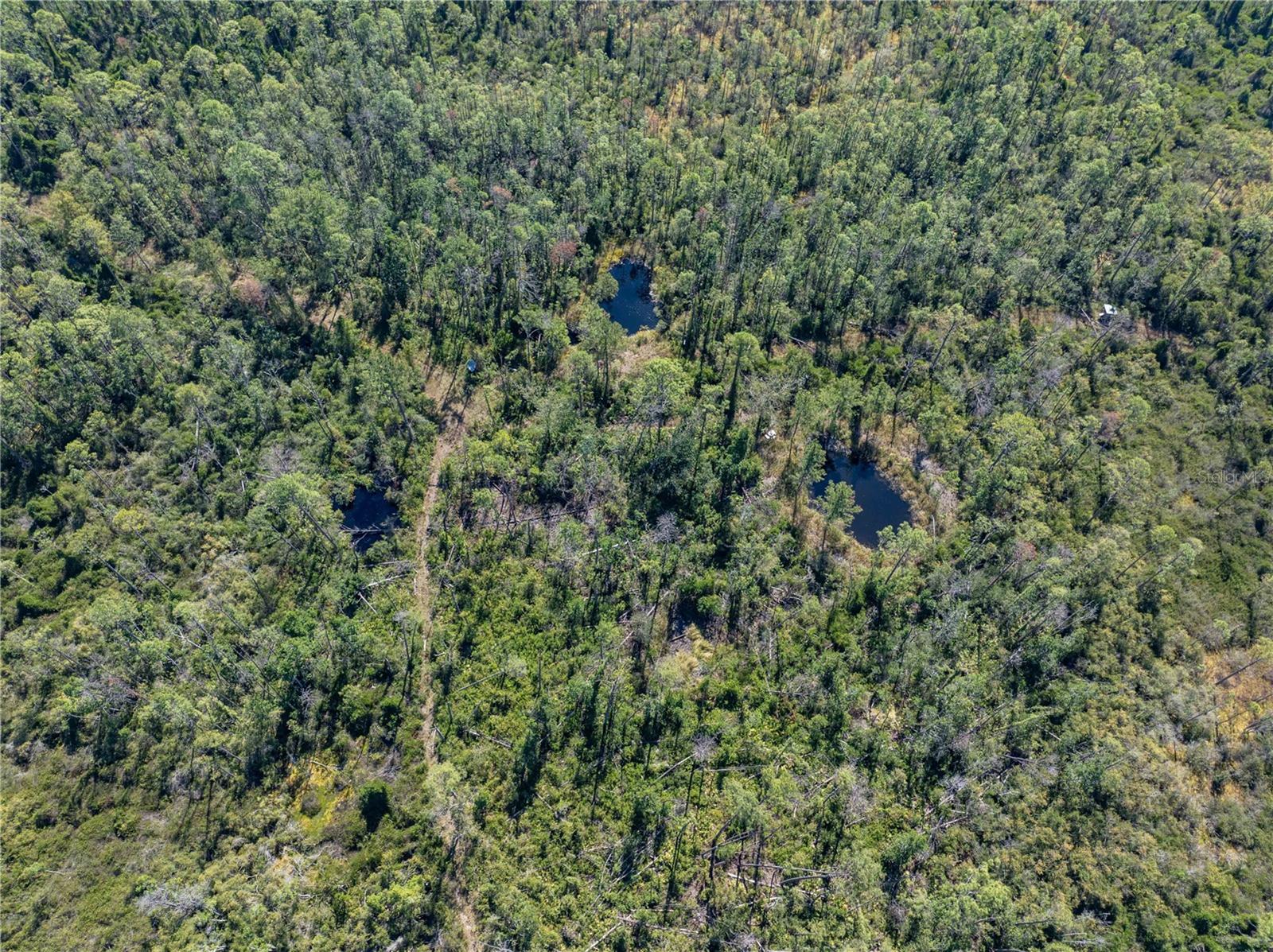 Image 14 of 34 For 8970 Tower Road