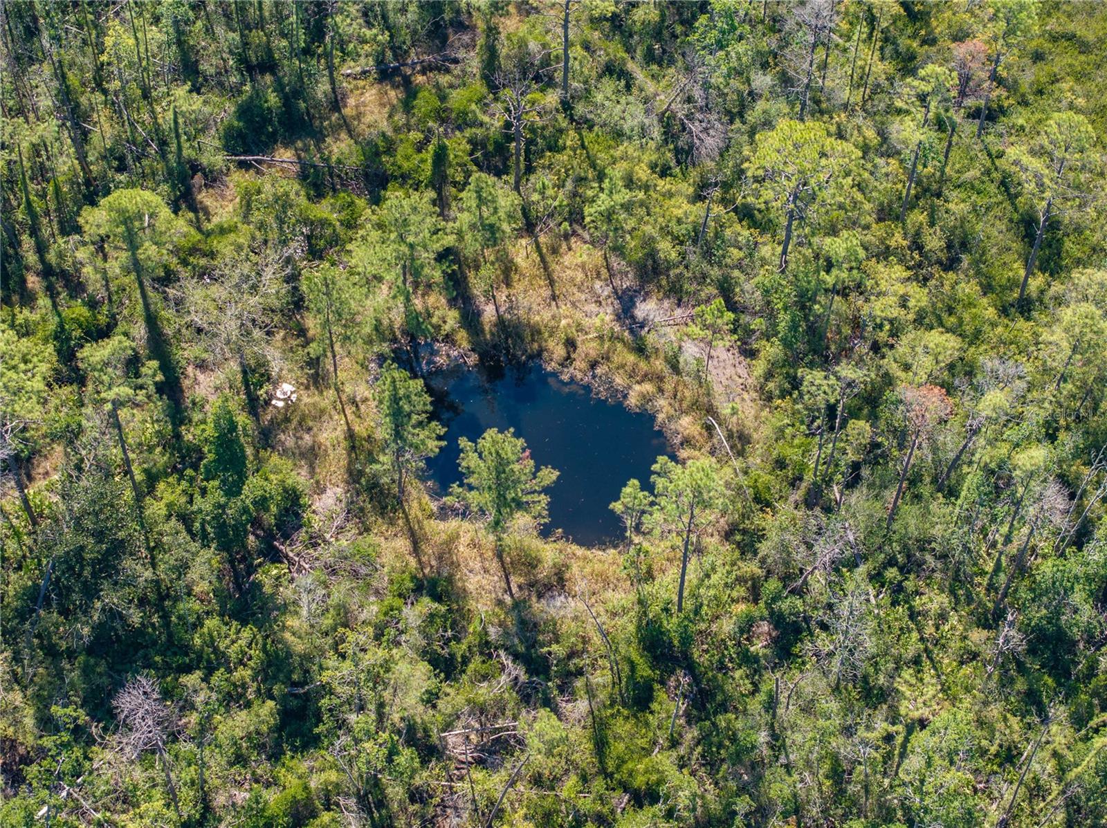 Image 15 of 34 For 8970 Tower Road