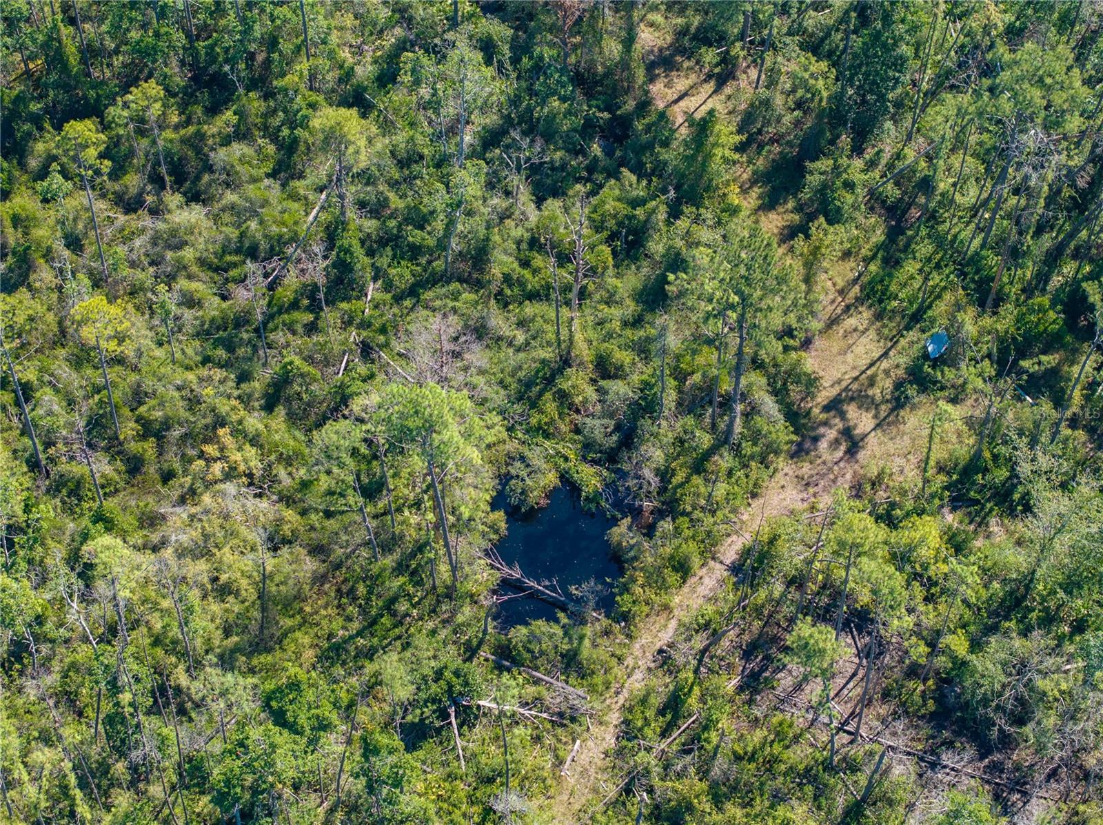 Image 16 of 34 For 8970 Tower Road