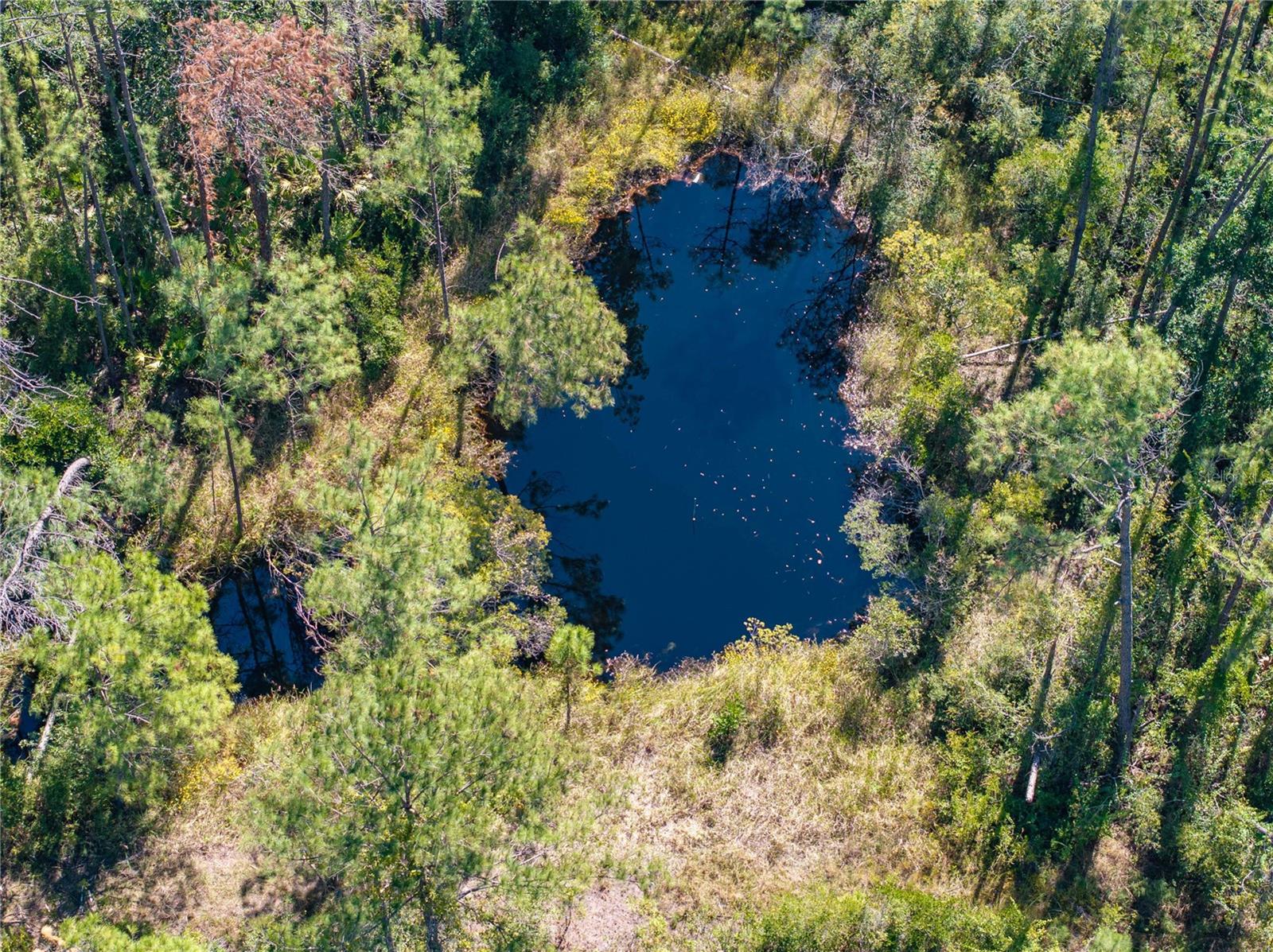 Image 17 of 34 For 8970 Tower Road