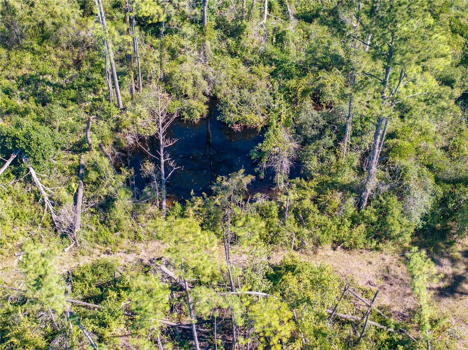 Image 18 of 34 For 8970 Tower Road