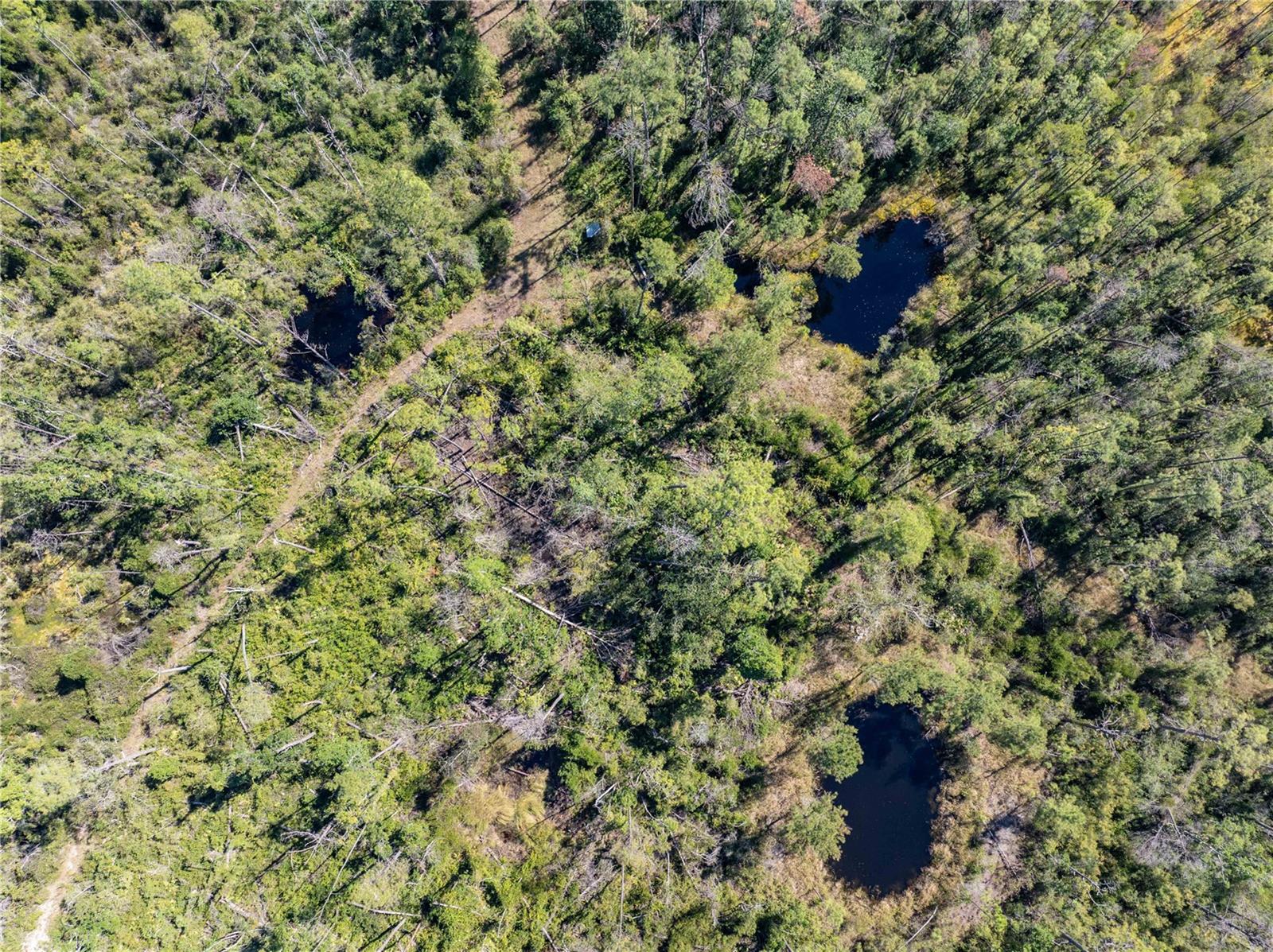 Image 19 of 34 For 8970 Tower Road