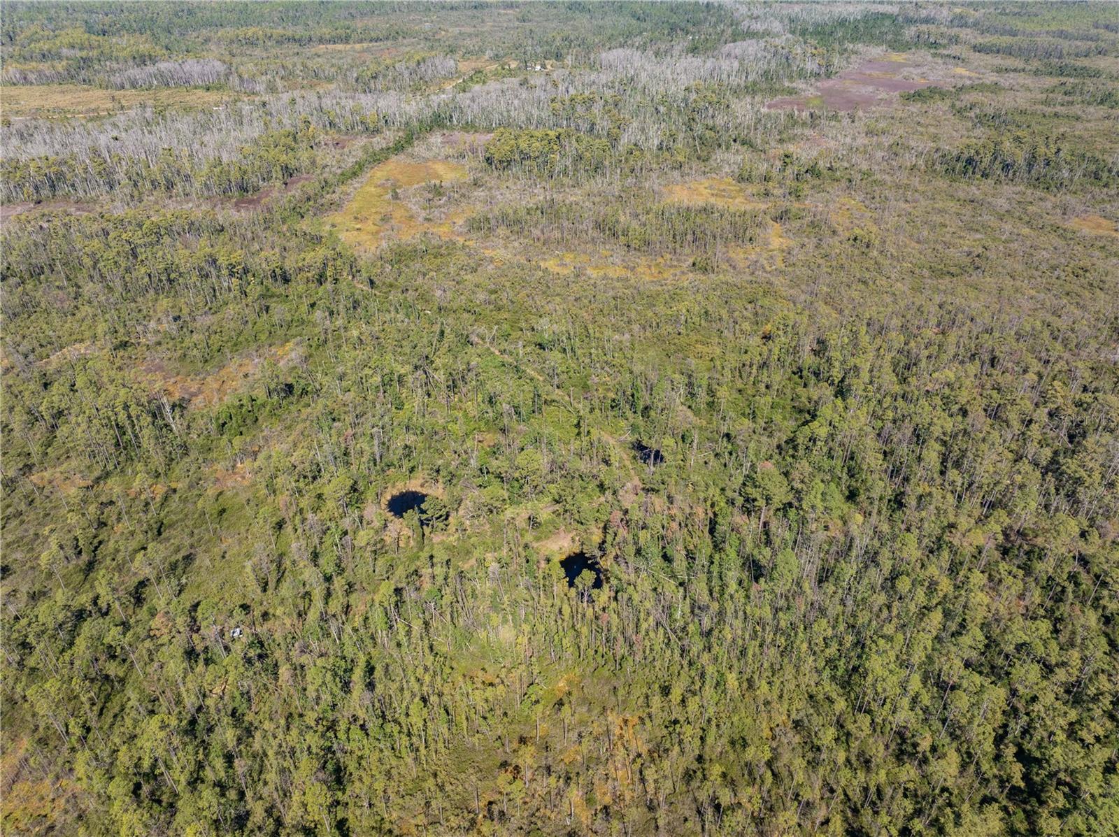 Image 20 of 34 For 8970 Tower Road