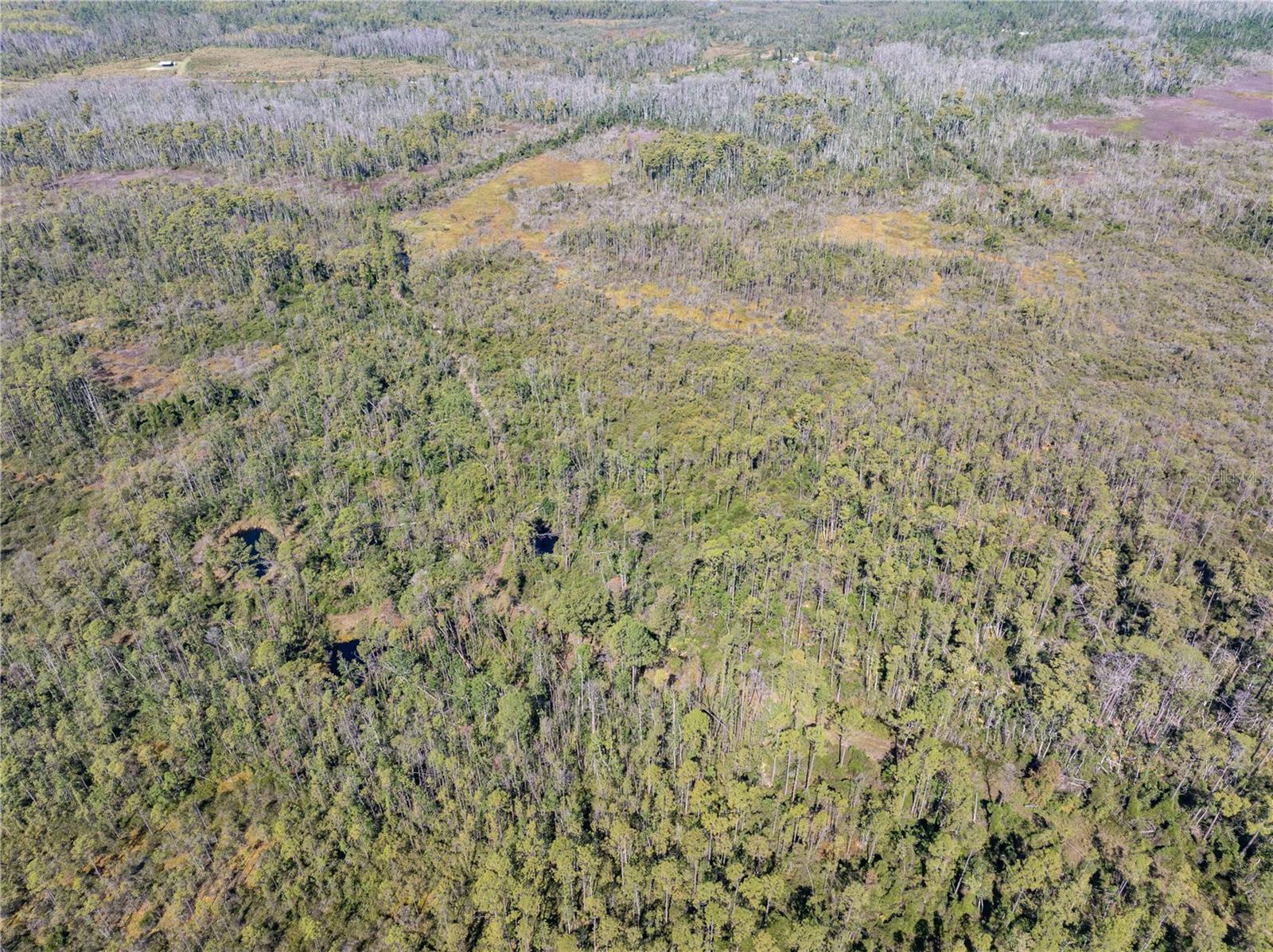 Image 21 of 34 For 8970 Tower Road