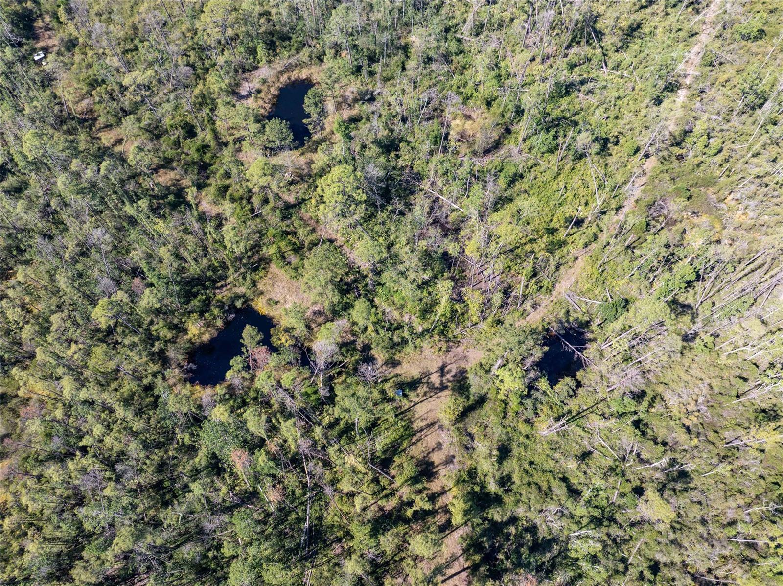 Image 22 of 34 For 8970 Tower Road