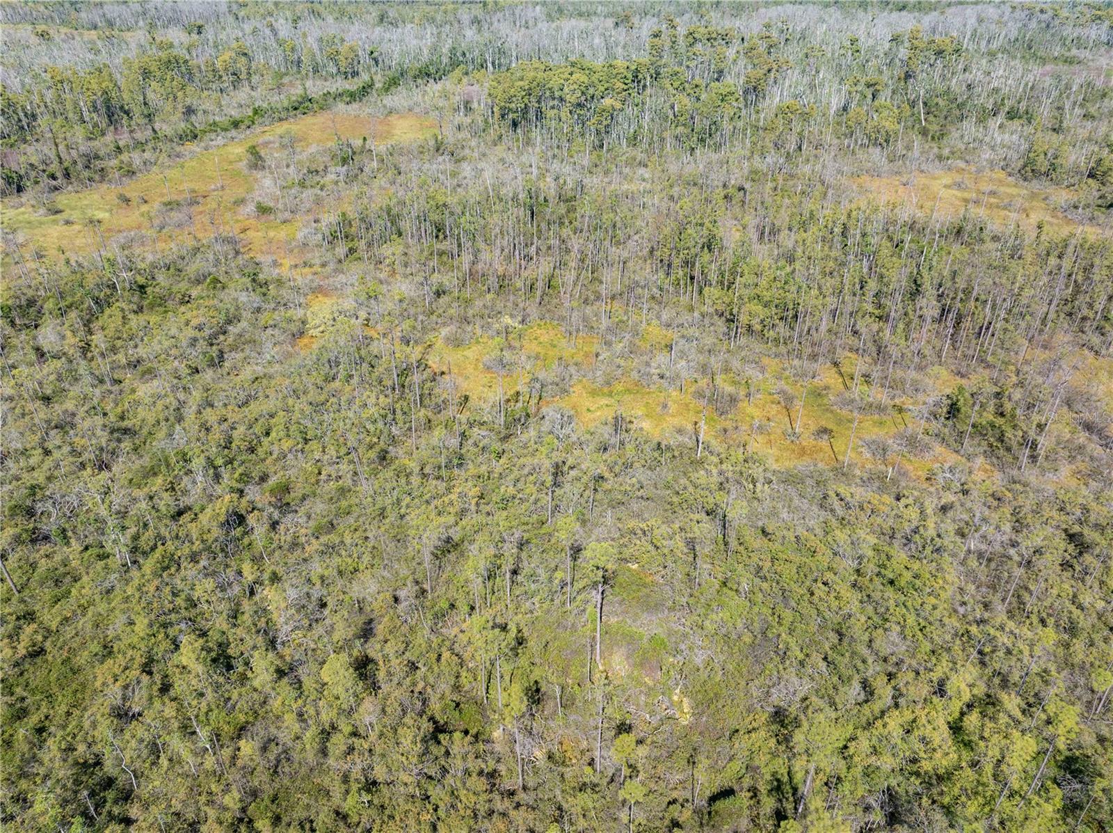 Image 23 of 34 For 8970 Tower Road