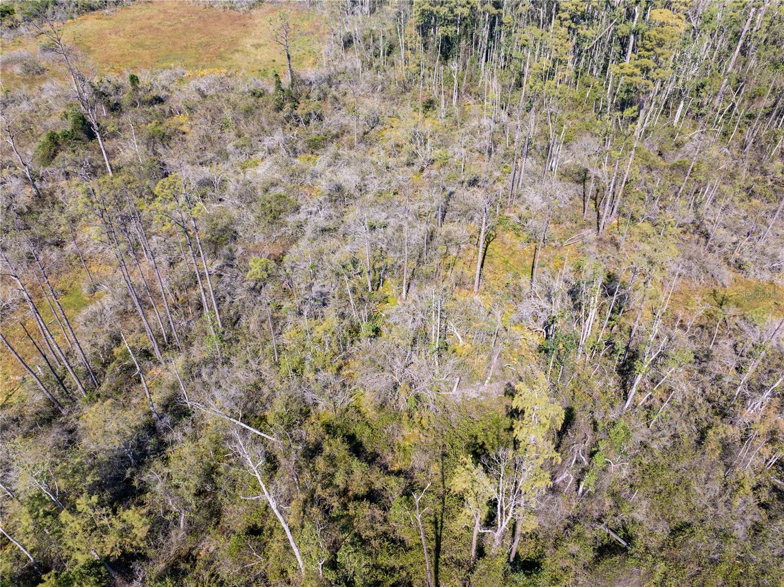 Image 24 of 34 For 8970 Tower Road