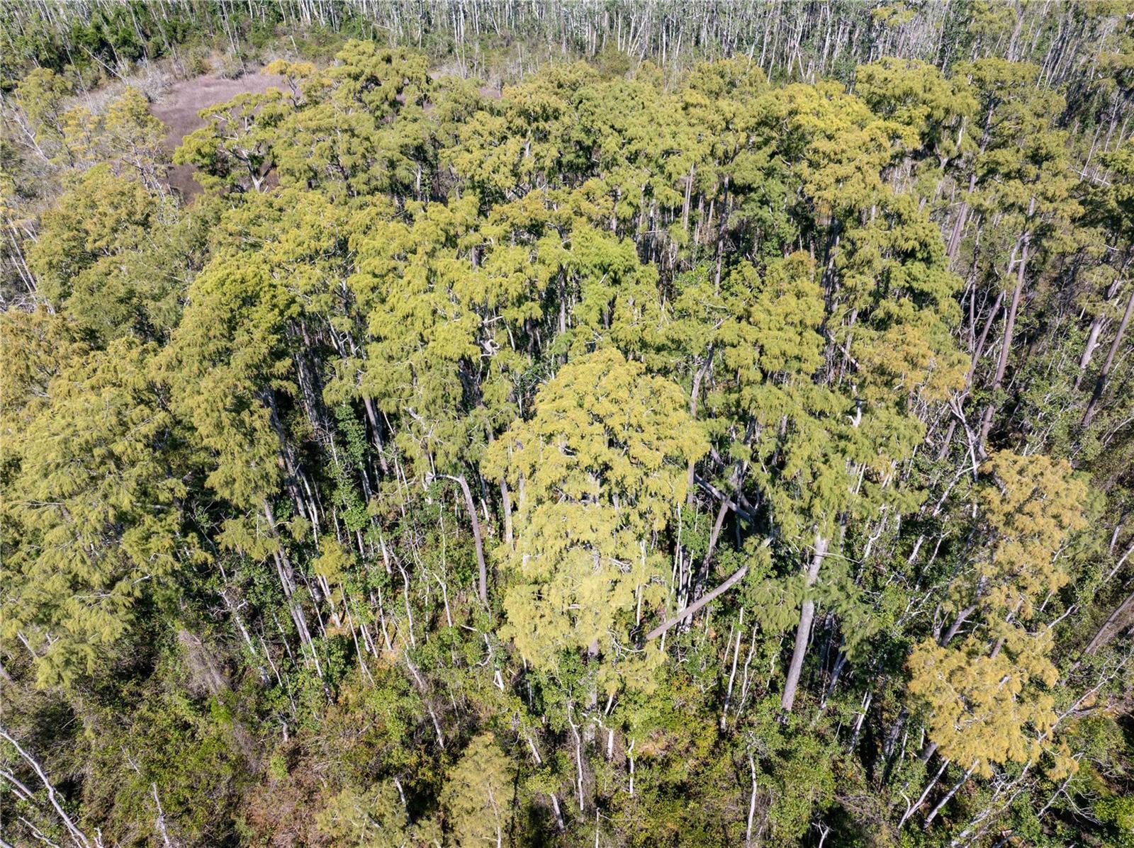 Image 25 of 34 For 8970 Tower Road